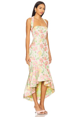 Ivy Maxi Dress - luluinthesky