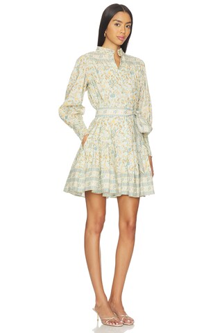 Karli Mini Dress - luluinthesky