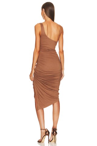 x REVOLVE Hayes Midi Dress - luluinthesky