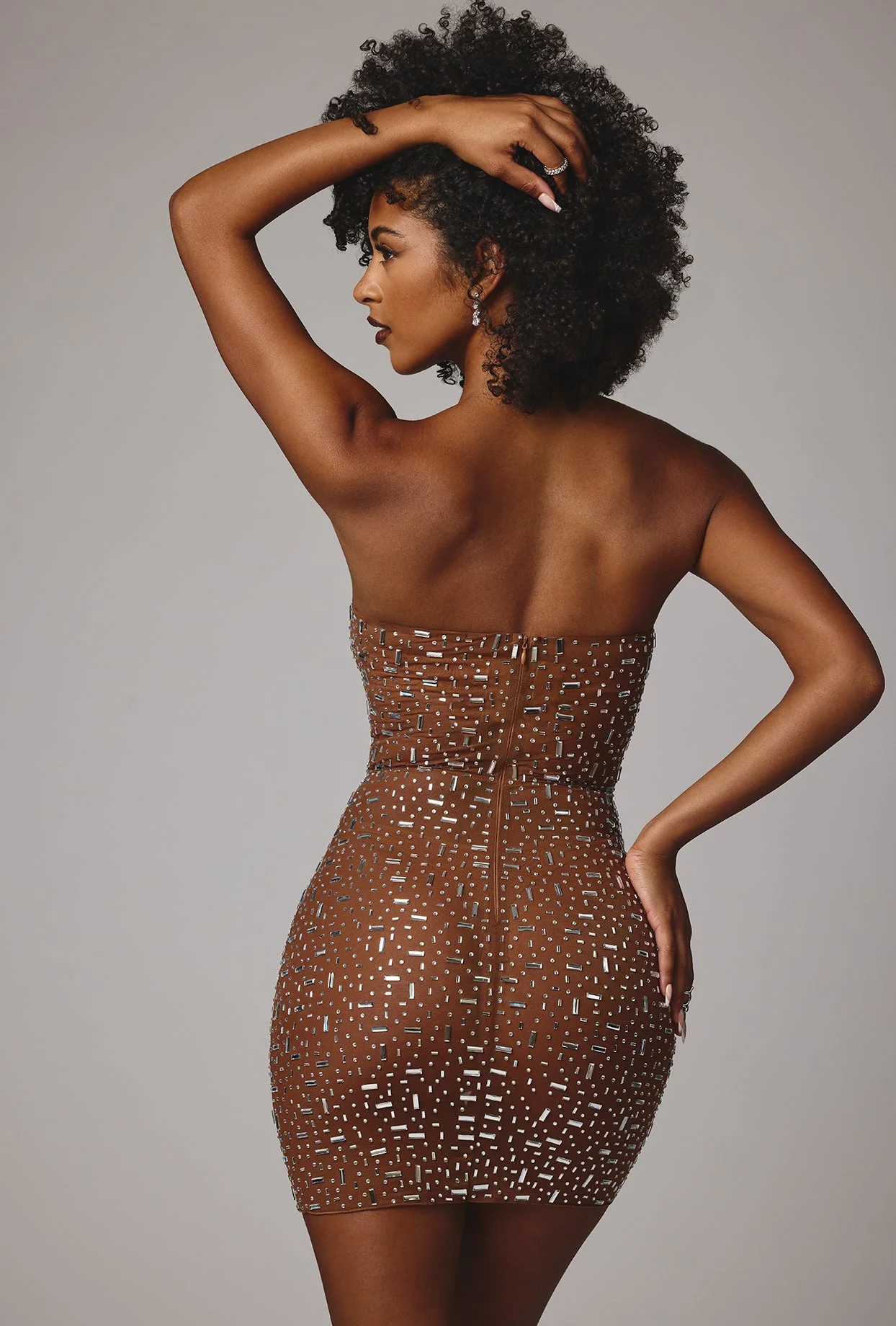 Sheer Embellished Bodycon Mini Dress in Mocha - luluinthesky