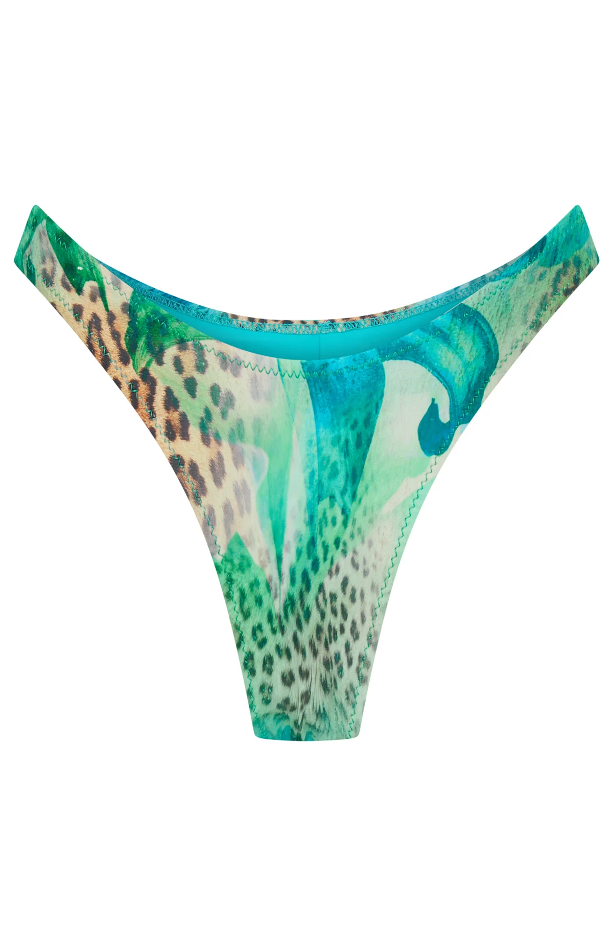 Belmont Bottoms Feline Paradise - luluinthesky