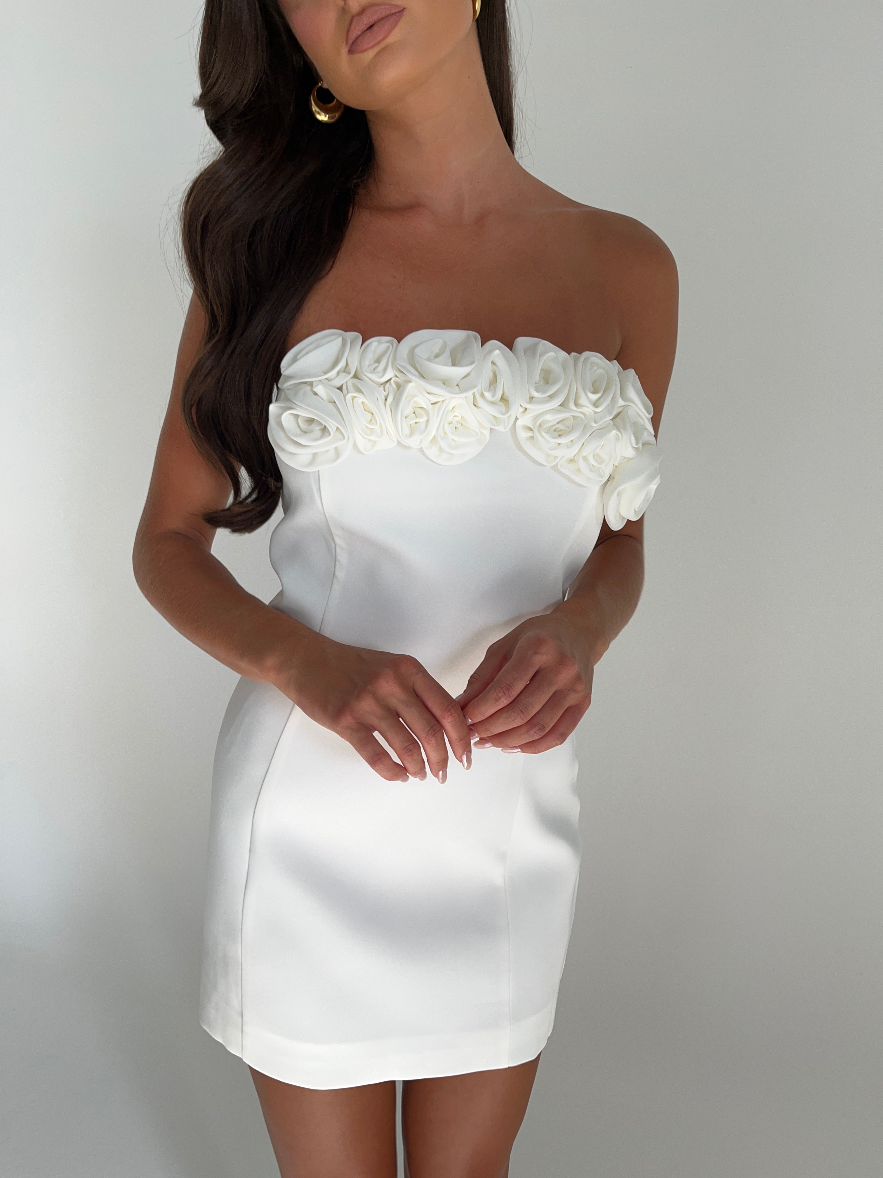 MESHKI Brooks Rose Mini Dress - White