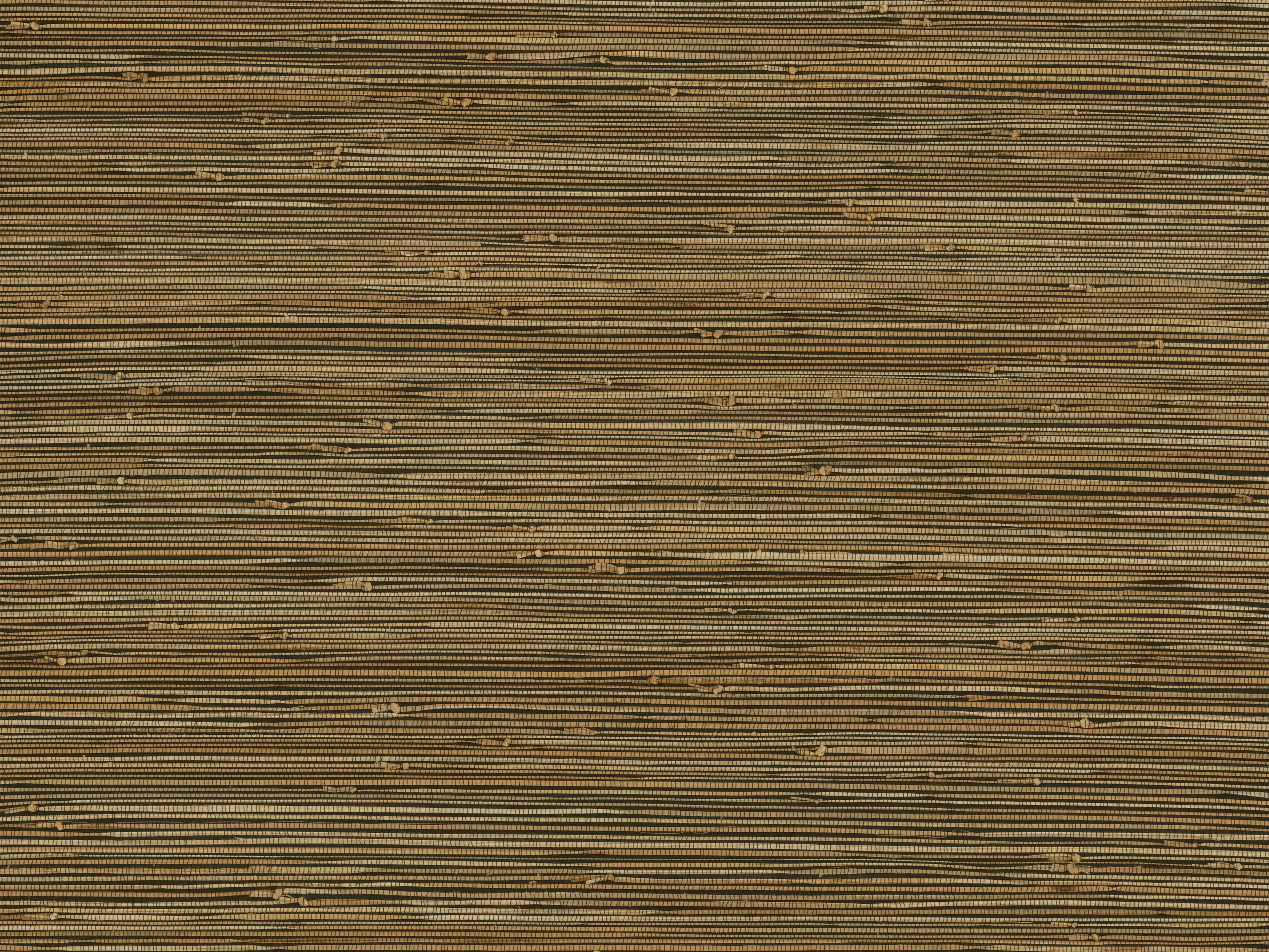 Olivio Grasscloth Wallpaper in Night