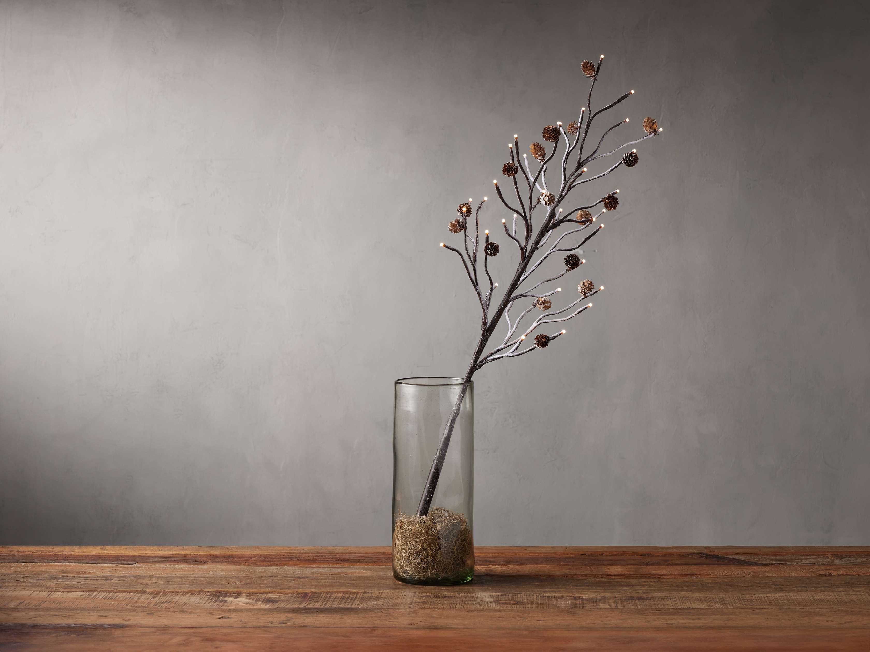 Pinecone Twig Branch