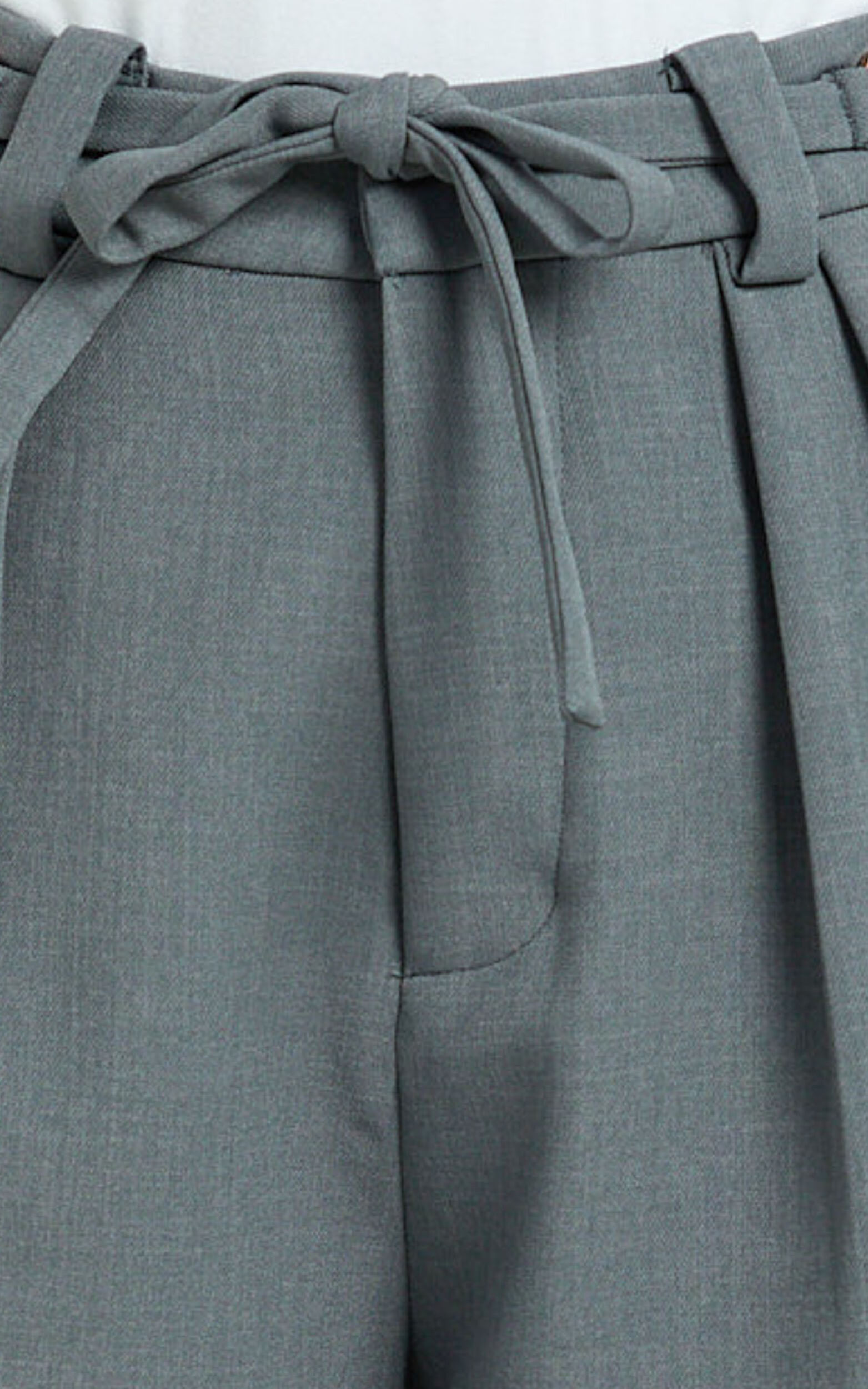 Frankie Pants - Low Rise Pleated Wide Leg Pant with Hardware Buckle in Grey