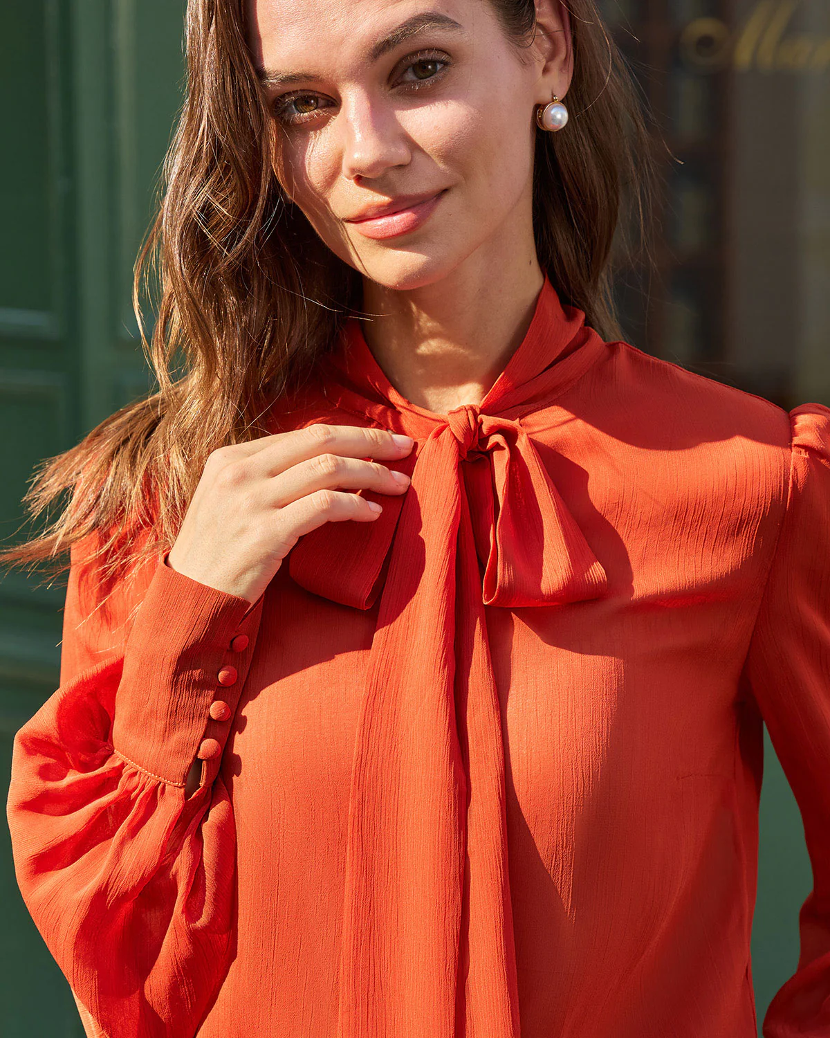 Brick Red Chiffon Tie Neck Shirt