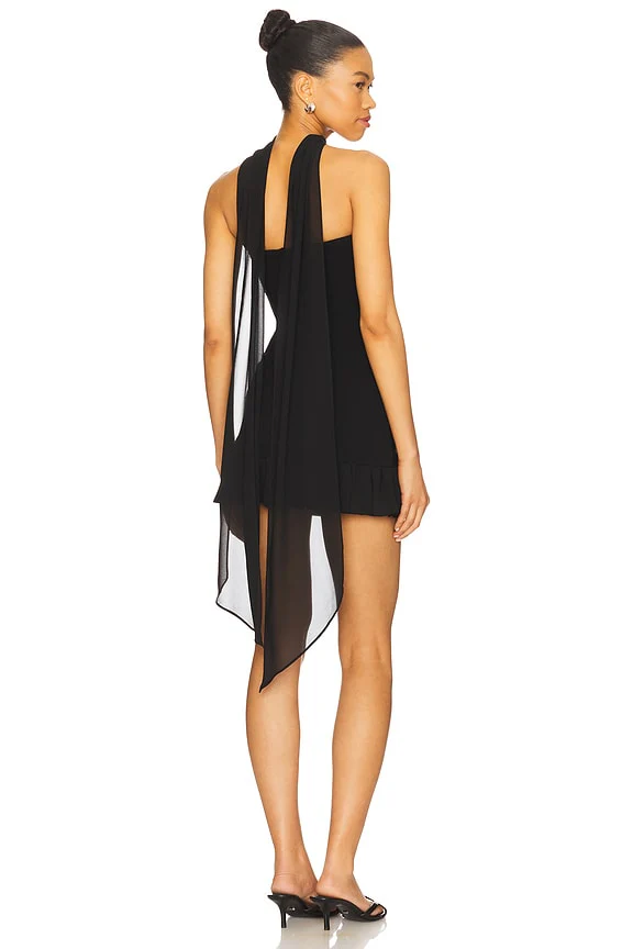 x REVOLVE Alice Mini Dress