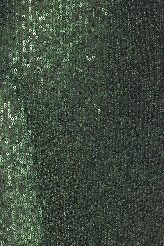 Long Sleeve Turtle Fishtail Gown