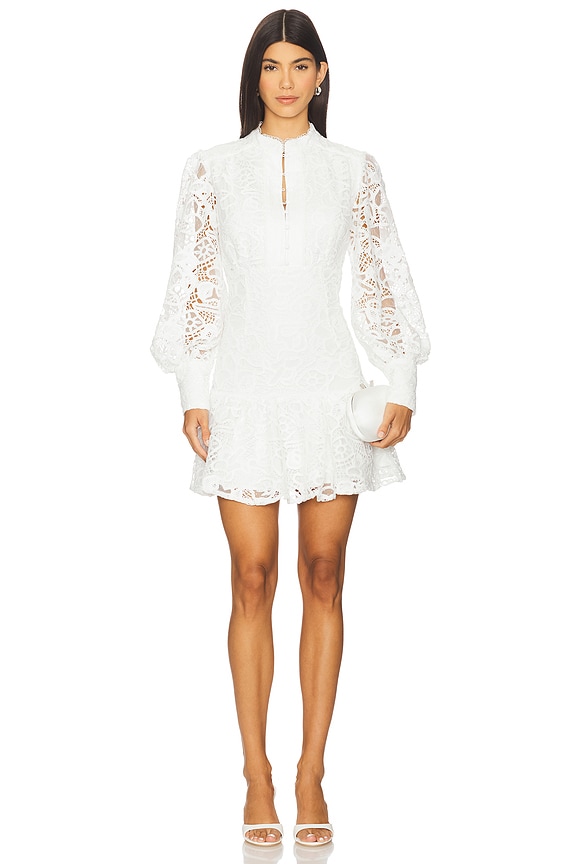 Remy Embroidered Mini Dress