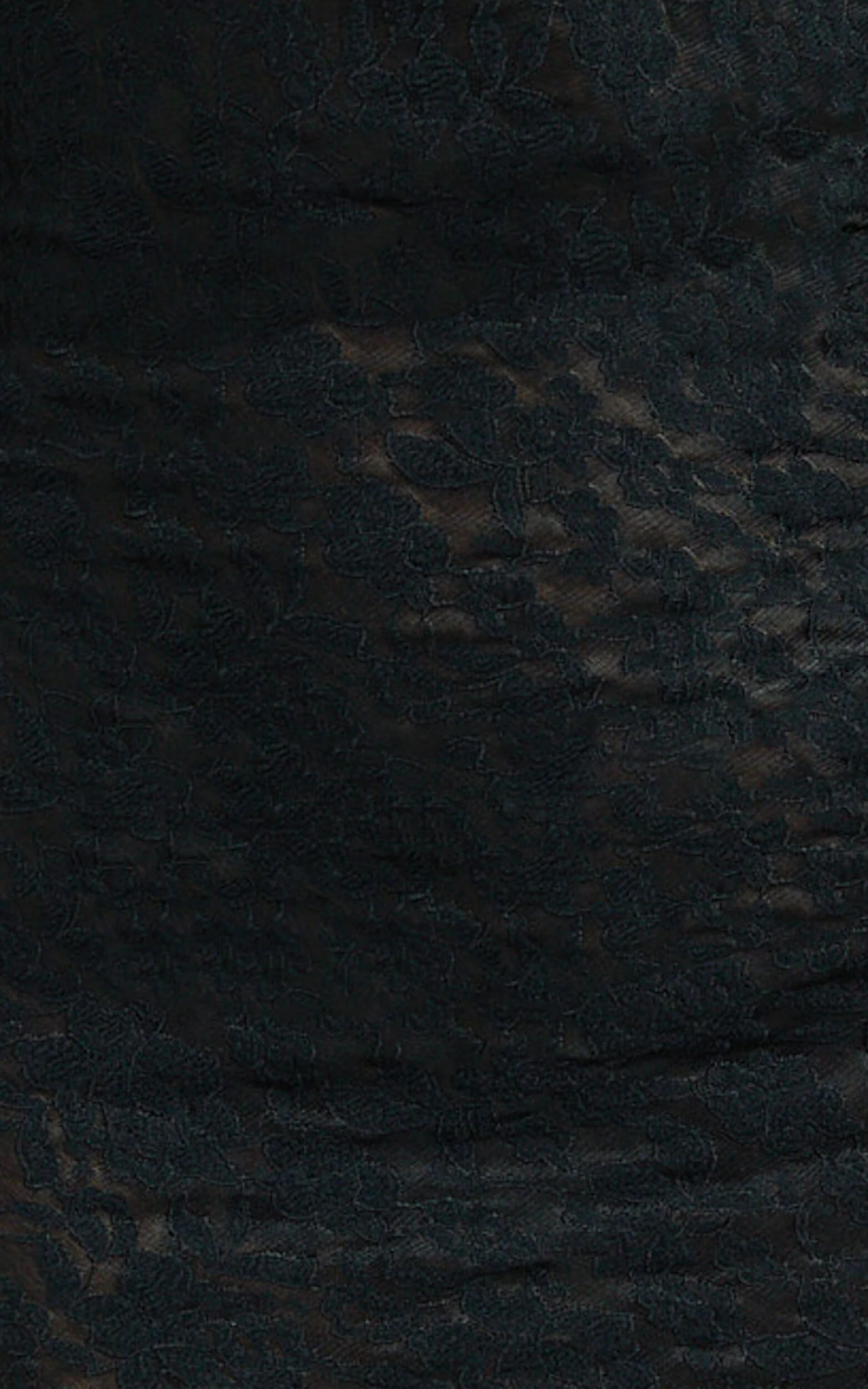 Harvey Mini Dress - Stretch Lace Scoop Neck Long Sleeve Bodycon Dress in Black