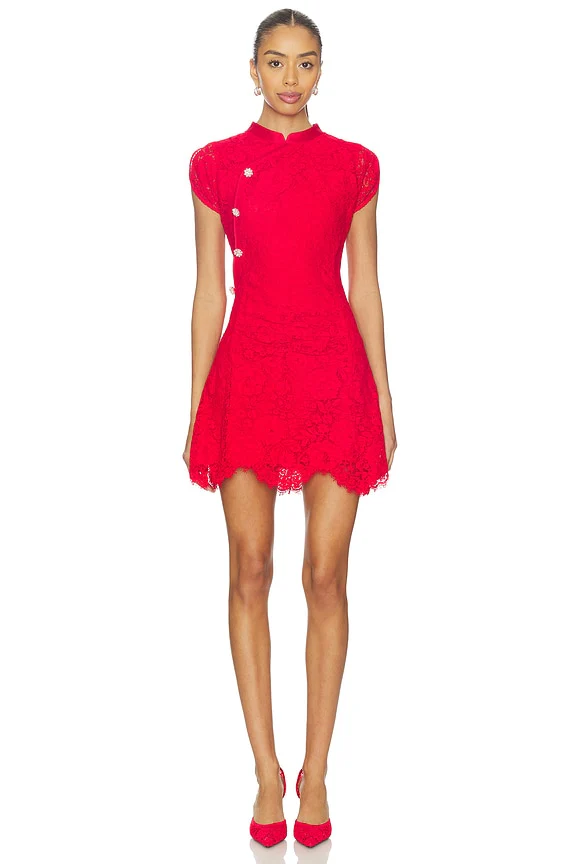 Fine Lace Mini Dress