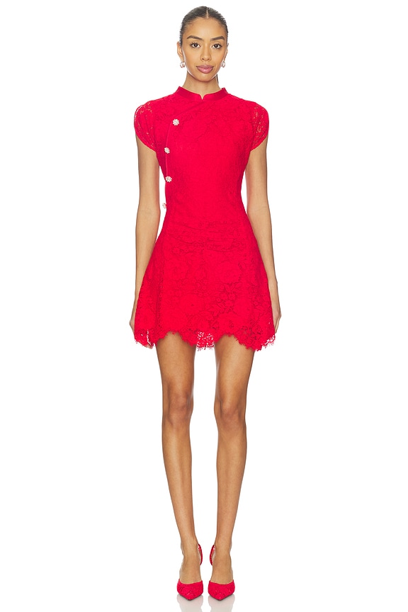 Fine Lace Mini Dress