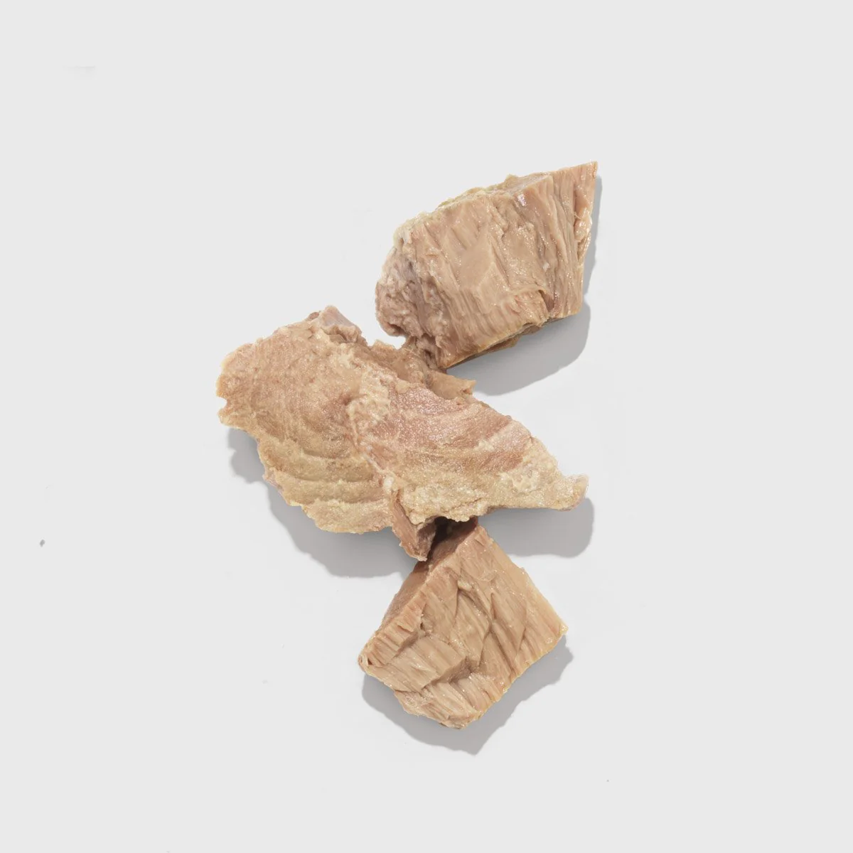 Tuna Fish
