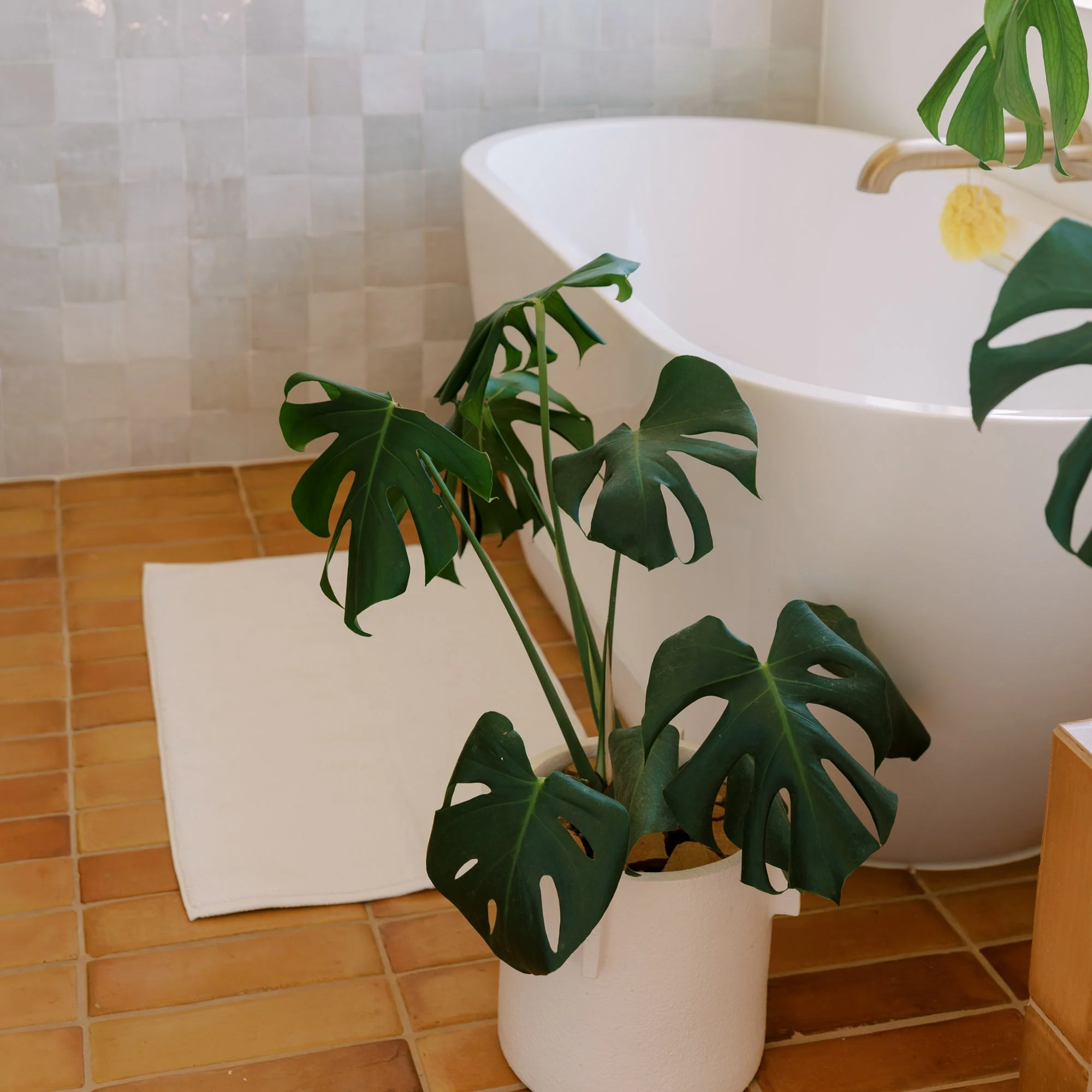 Organic Cotton Bath Mat (20