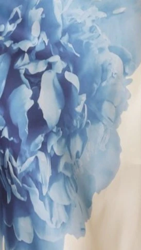 Emily One Shoulder Maxi Dress - Ivory / Blue