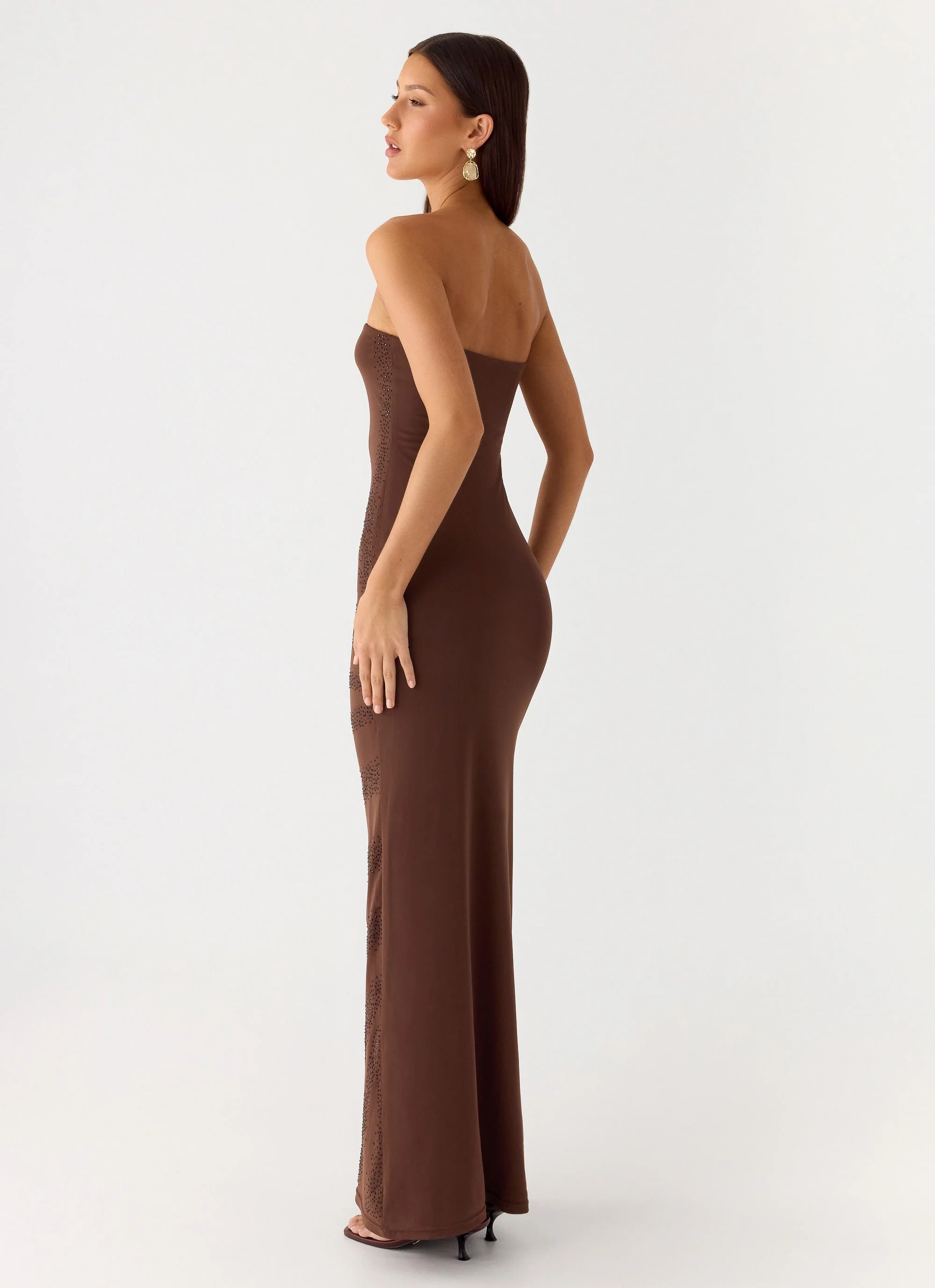 Belisse Beaded Mesh Maxi Dress - Chocolate