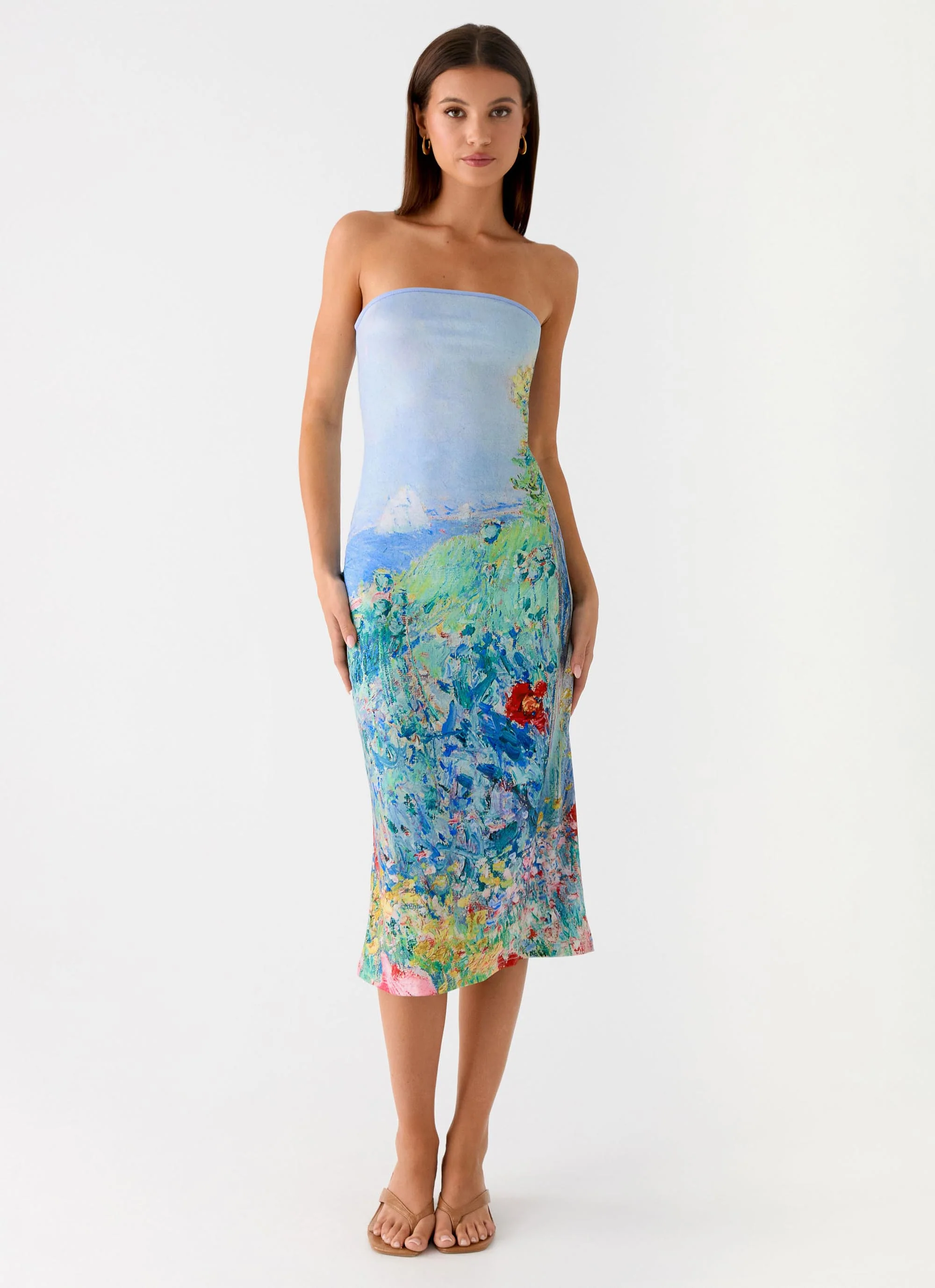 Niko Strapless Midi Dress - Spring Garden