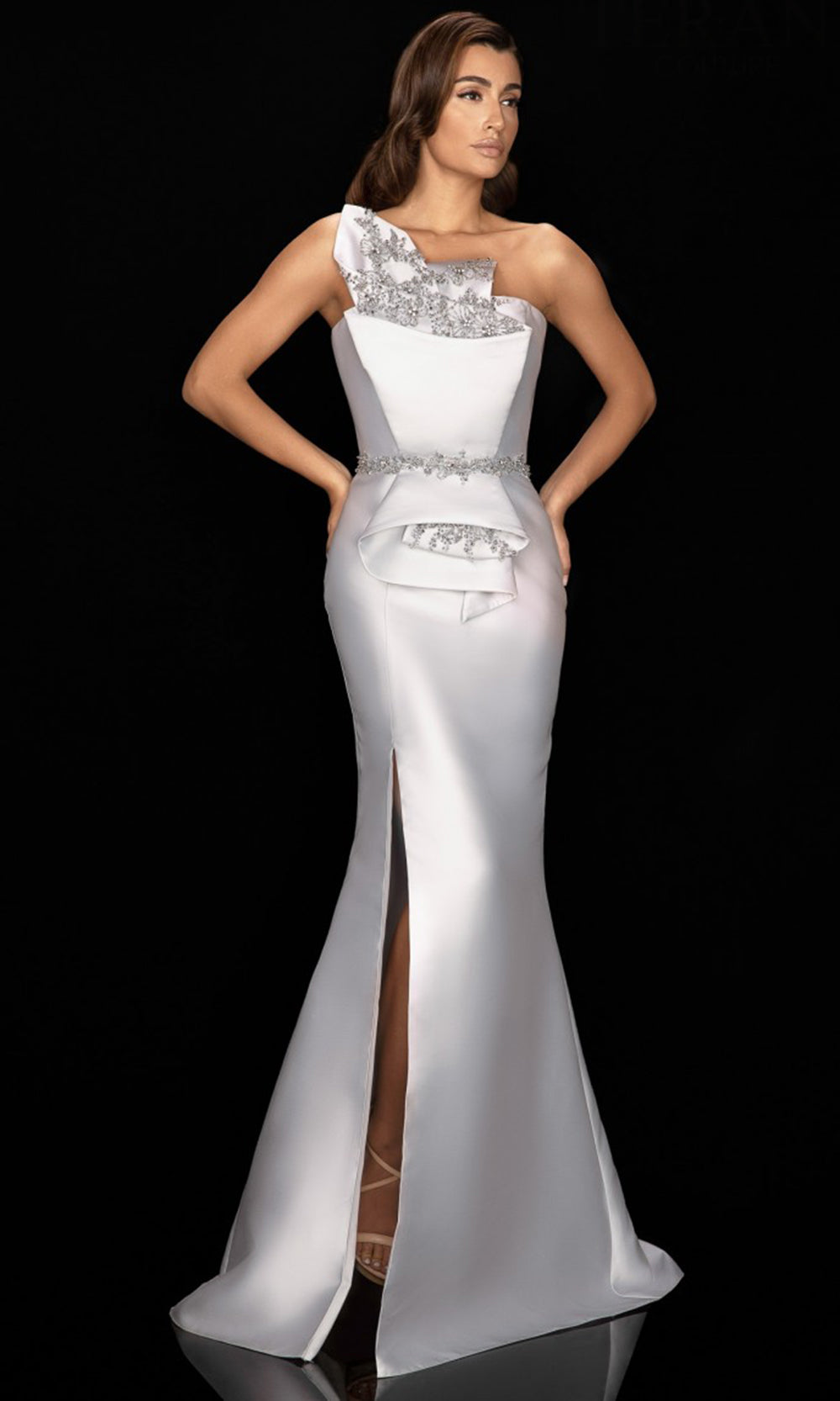 Fashionnob - Terani Couture 2011E2103