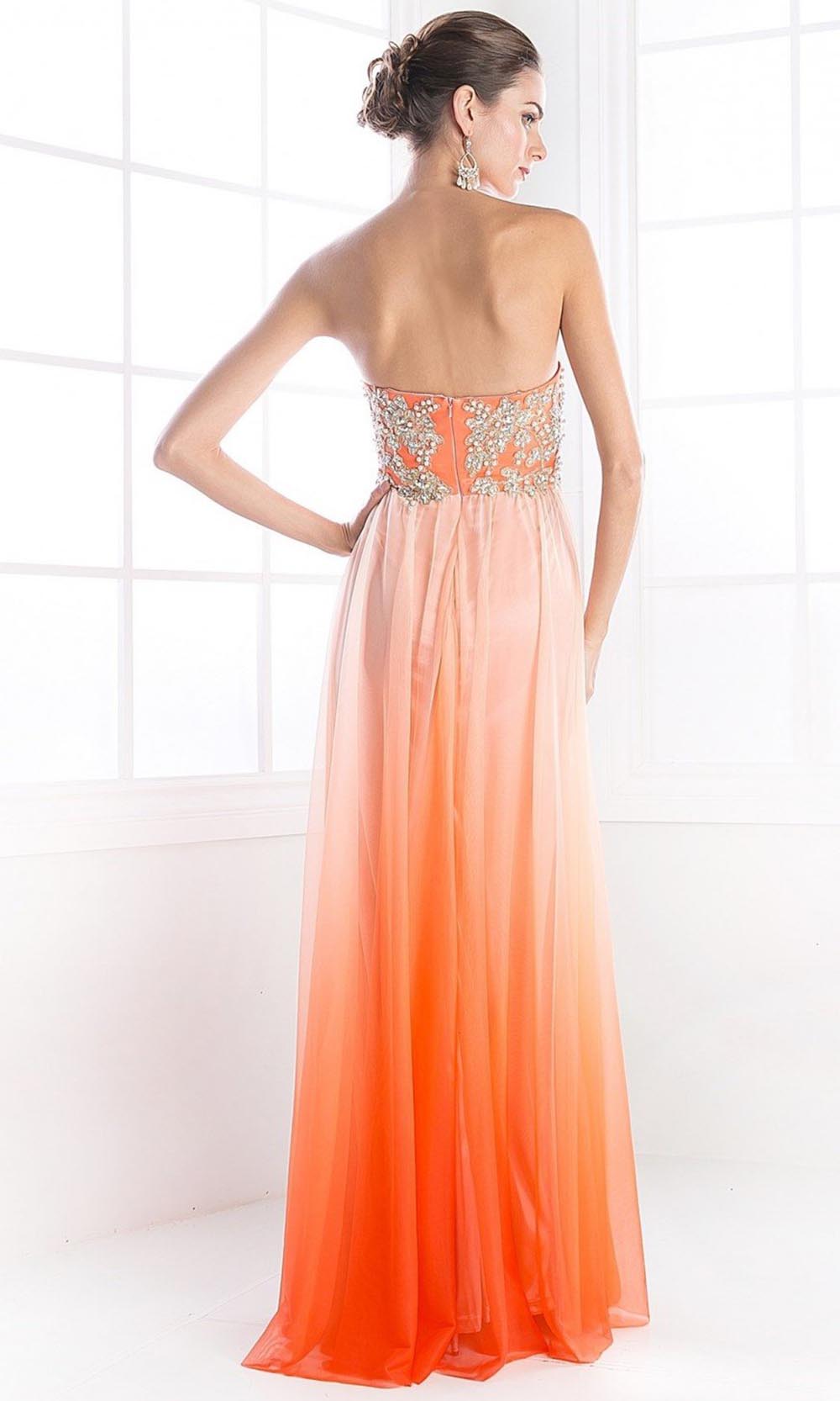 Fashionnob - Ladivine C2633