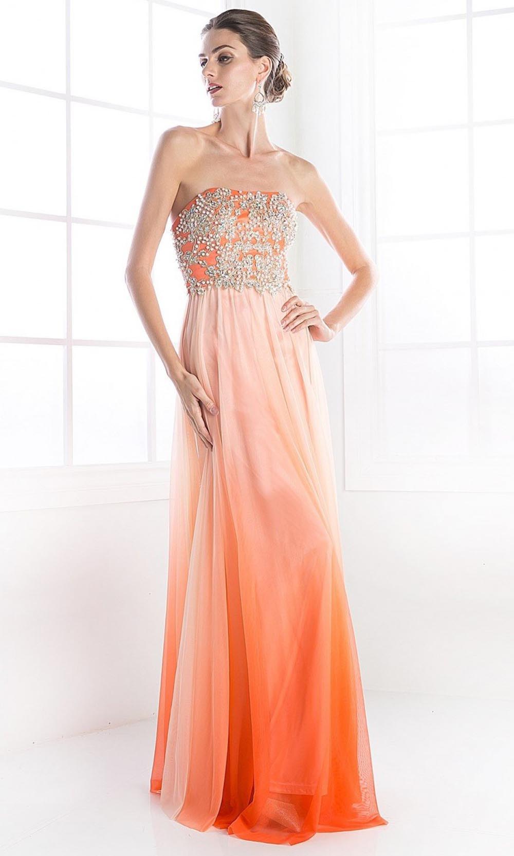 Fashionnob - Ladivine C2633