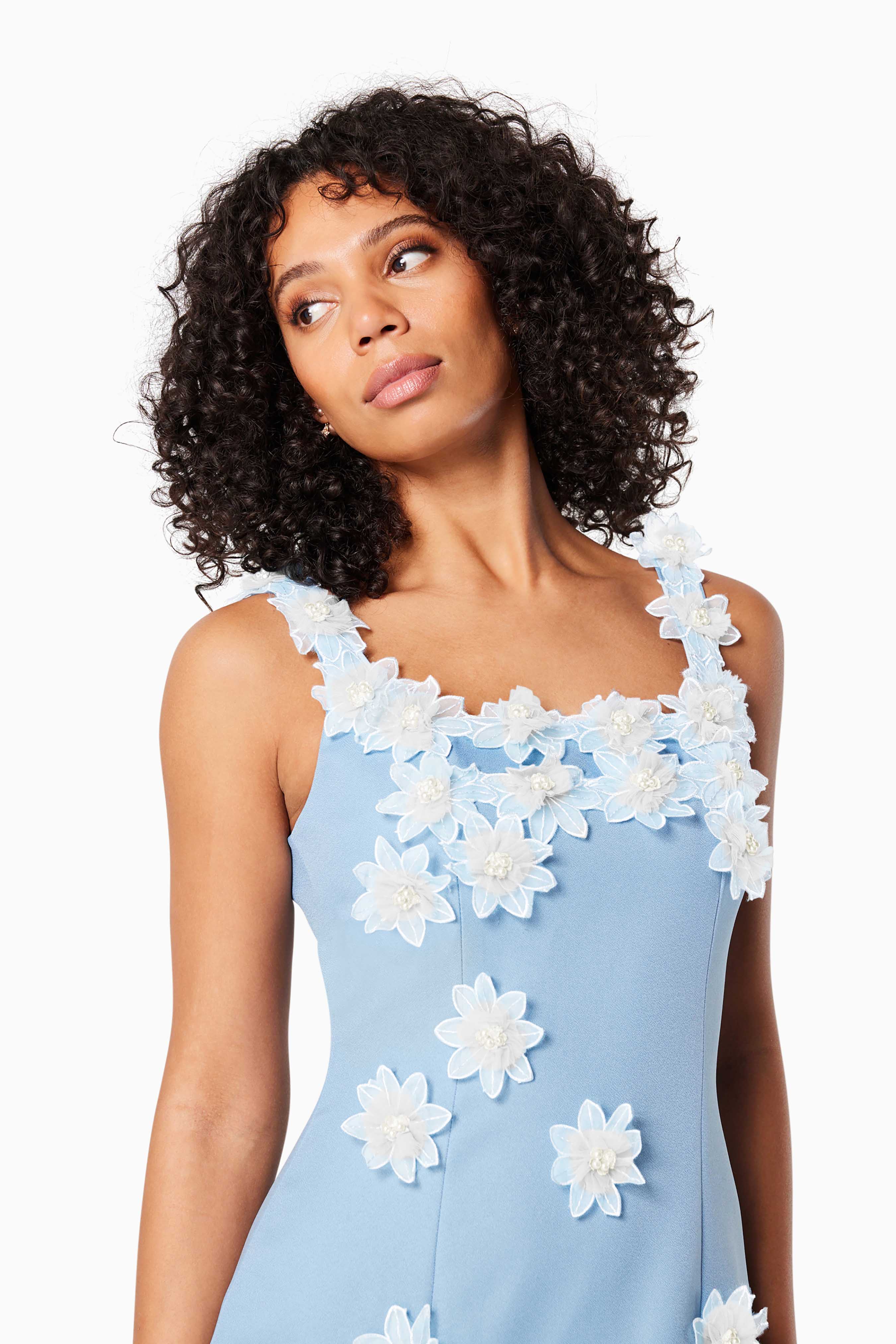 Prague 3D Floral Mini Dress In Blue