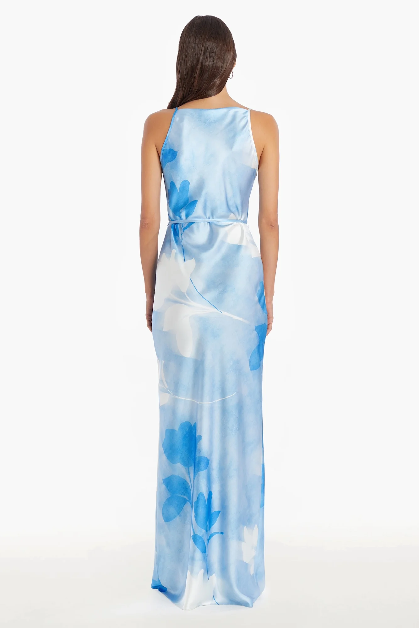 Frost Rose Blue Printed Maxi Dress