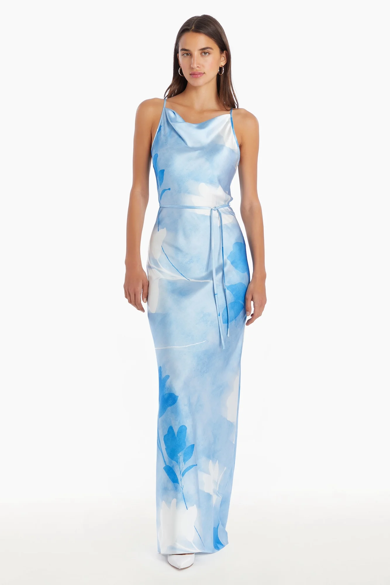 Frost Rose Blue Printed Maxi Dress