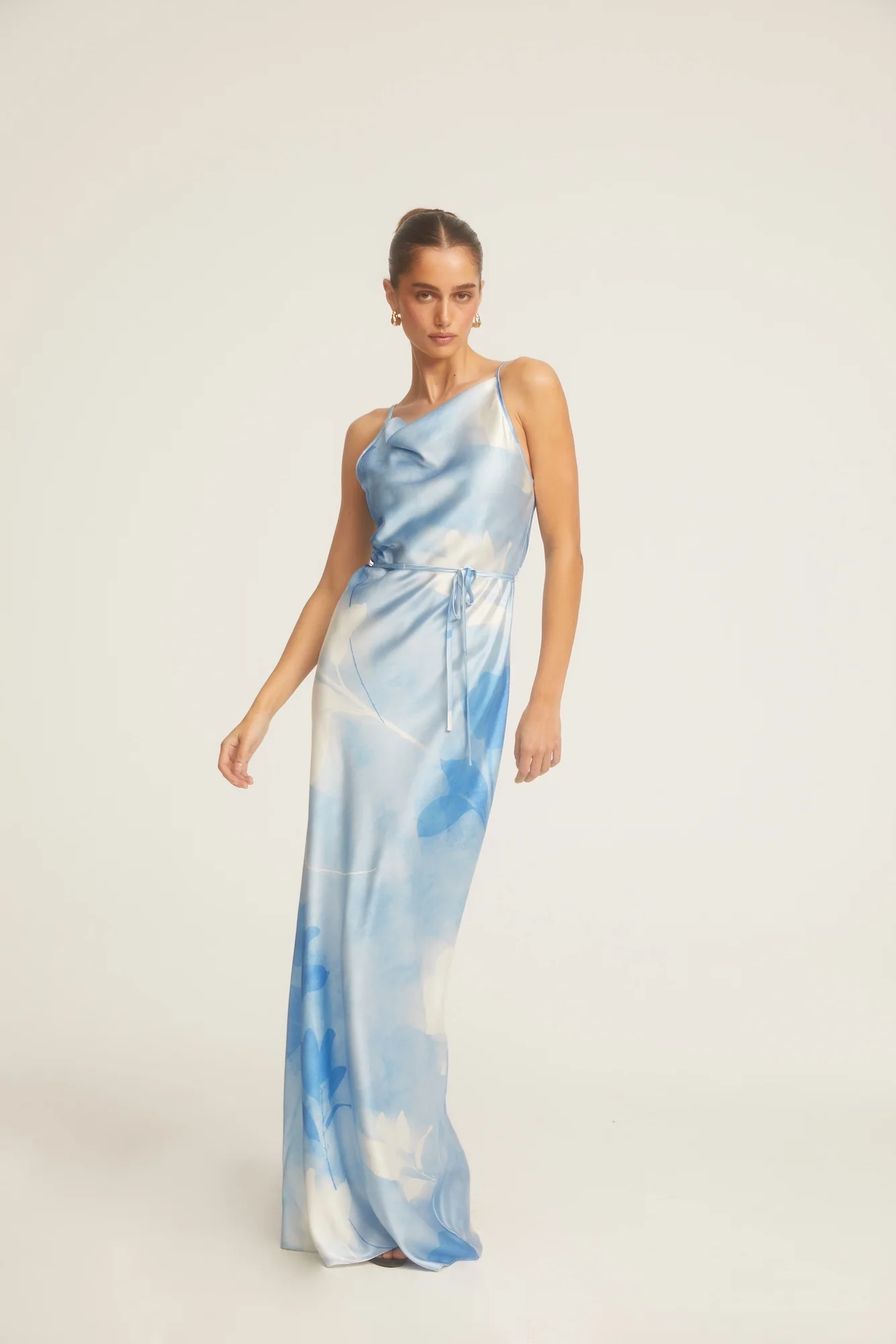 Frost Rose Blue Printed Maxi Dress
