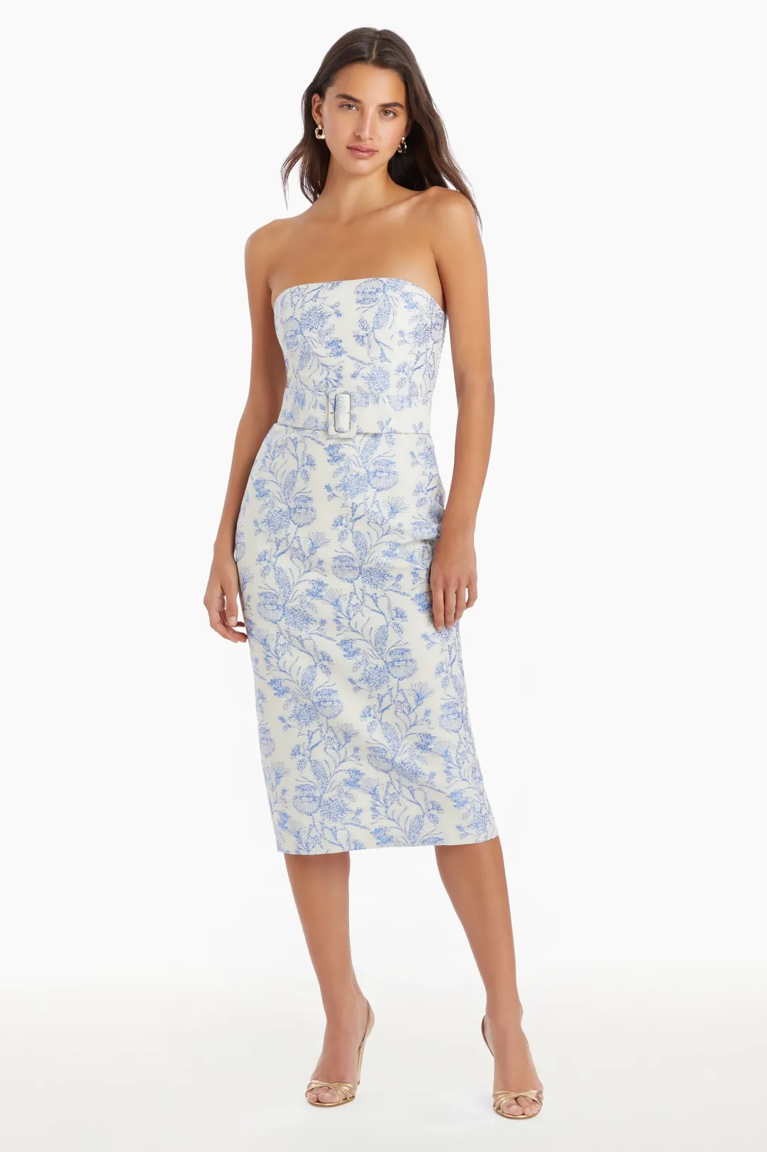 fae dress in toile brocade blue Fae Dress in Toile Brocade