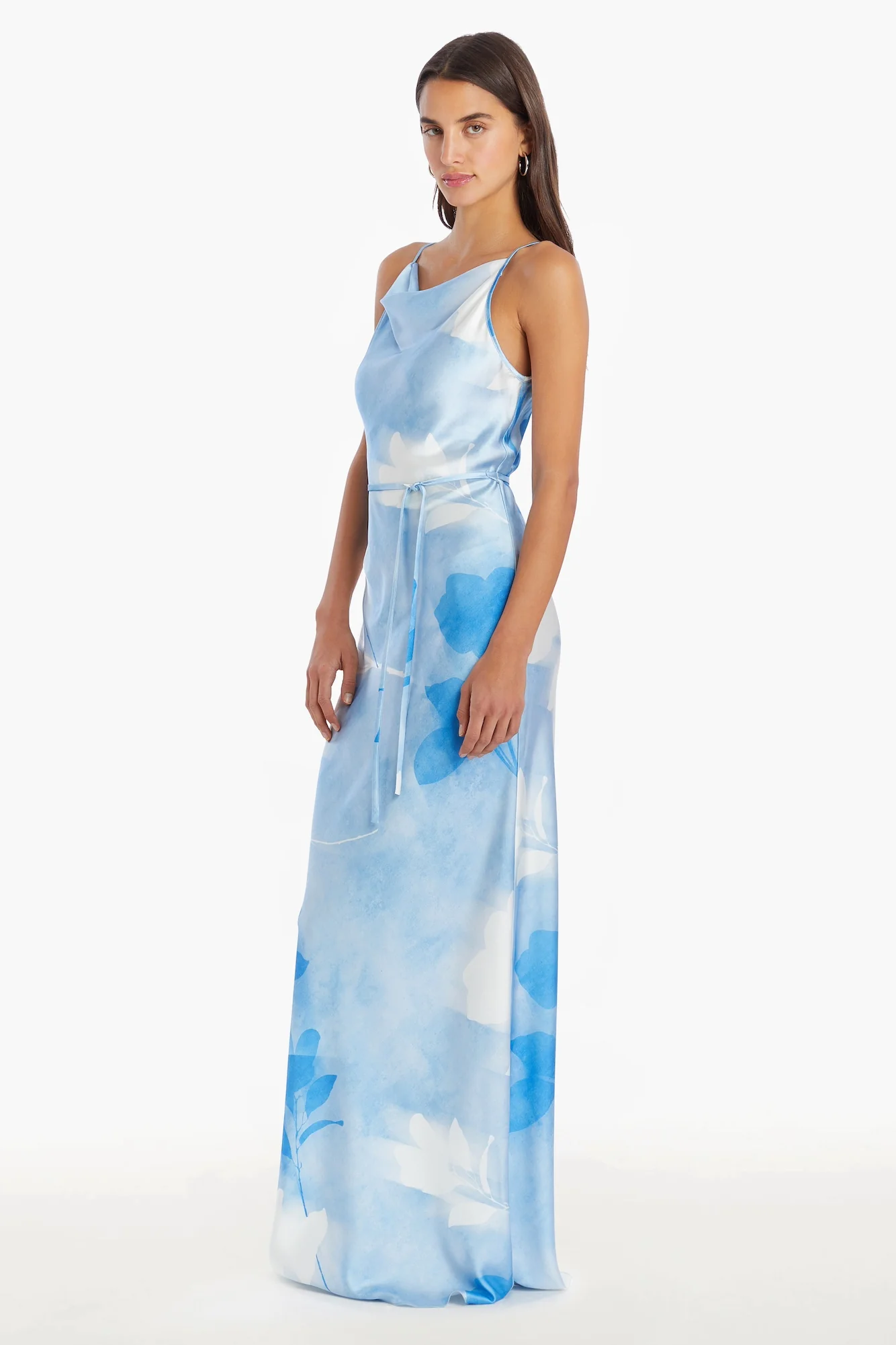 Frost Rose Blue Printed Maxi Dress