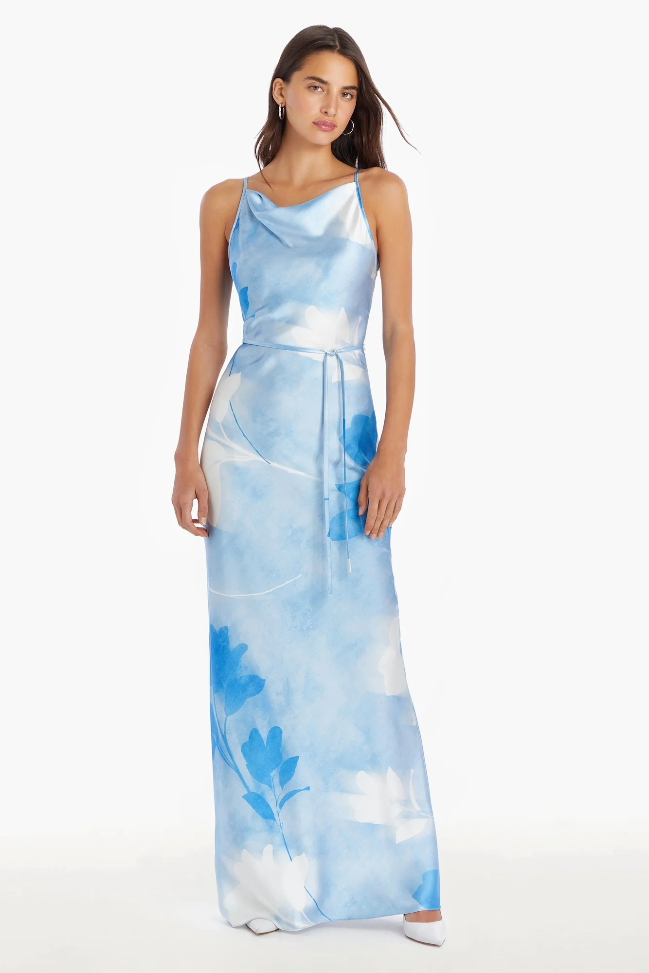 Frost Rose Blue Printed Maxi Dress