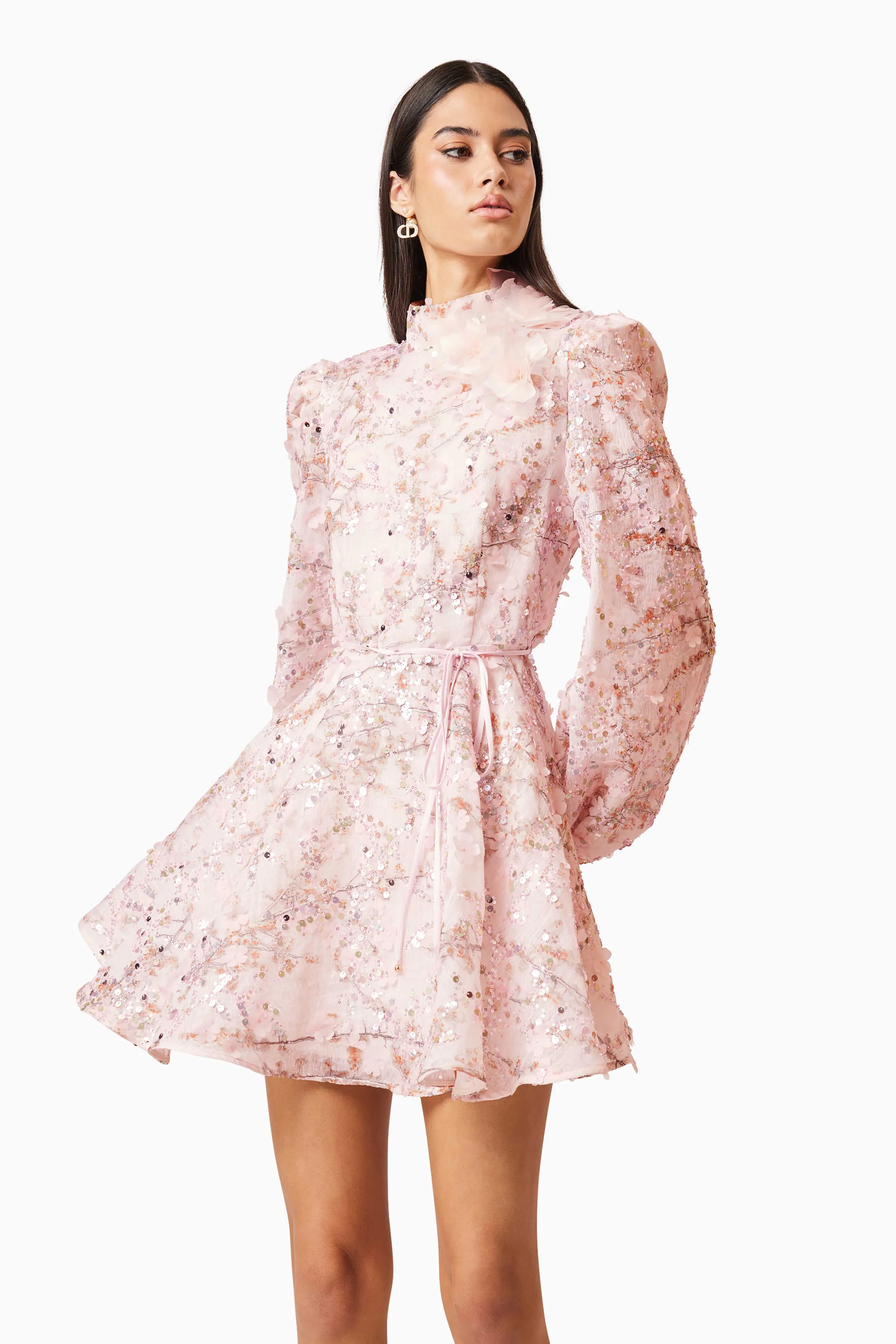 Regina Long Sleeve Dress in Pink