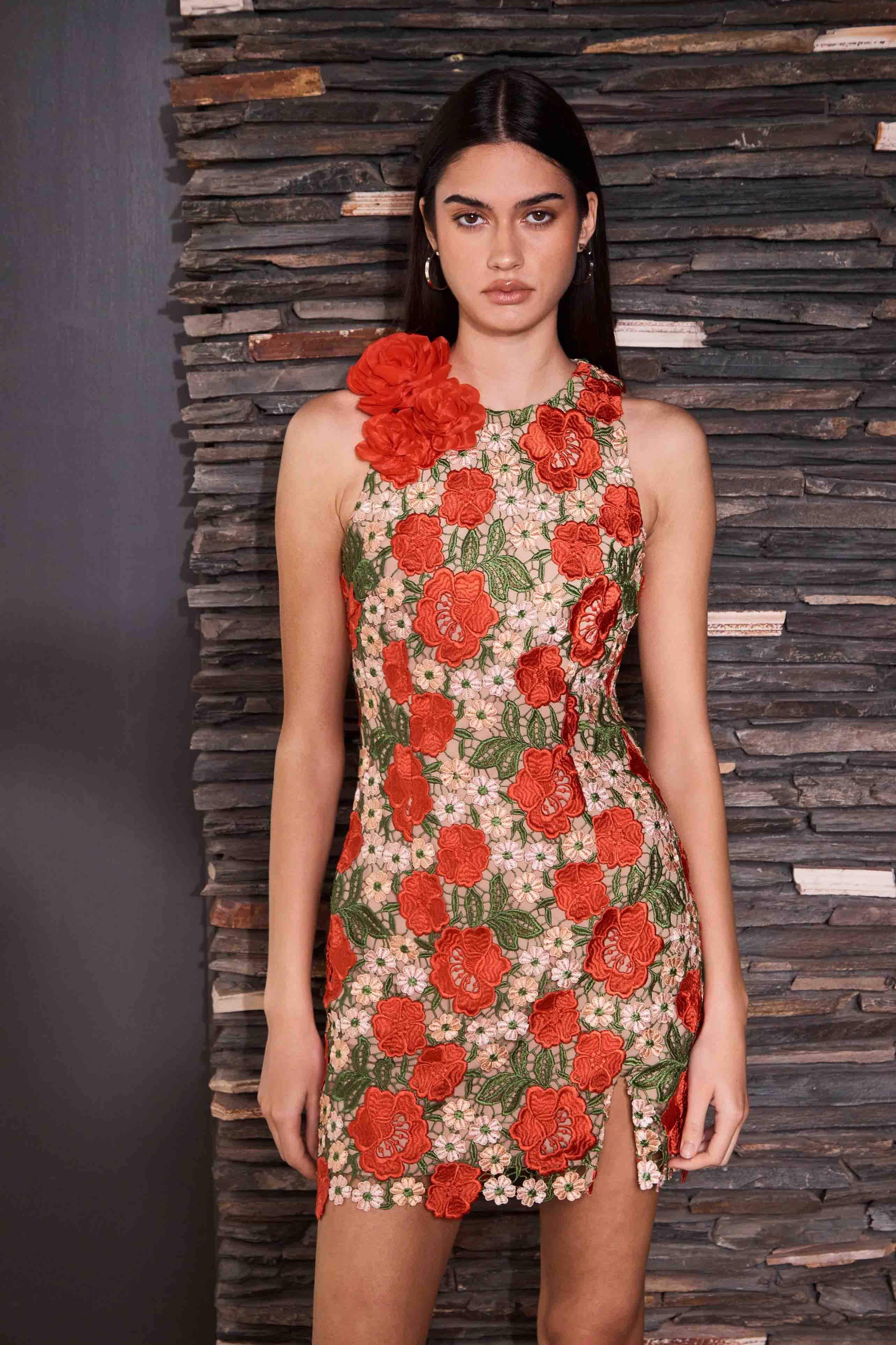 Roselyn Embroidered Mini Dress In Red