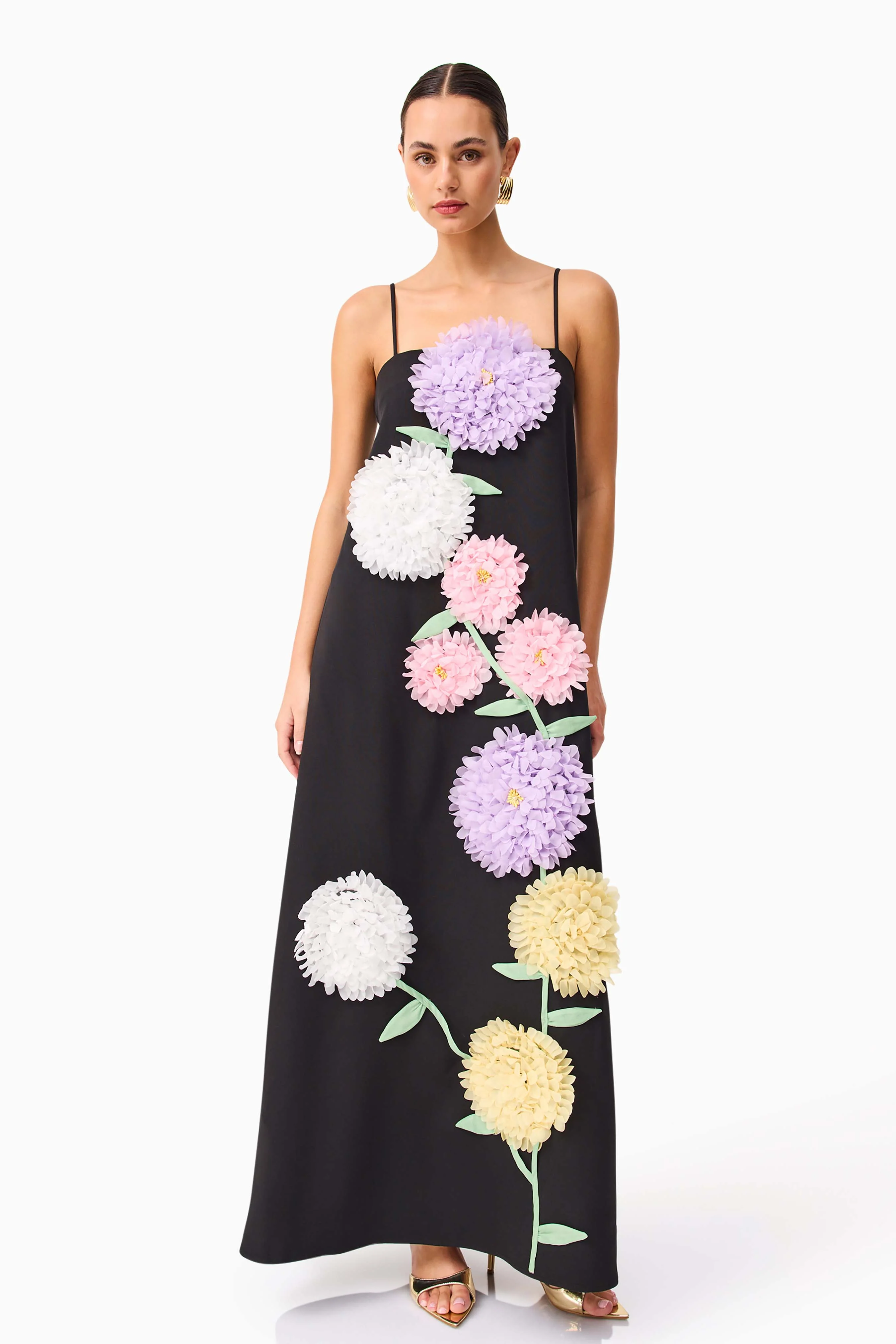 Buttercup Embroidered Maxi Dress in Black