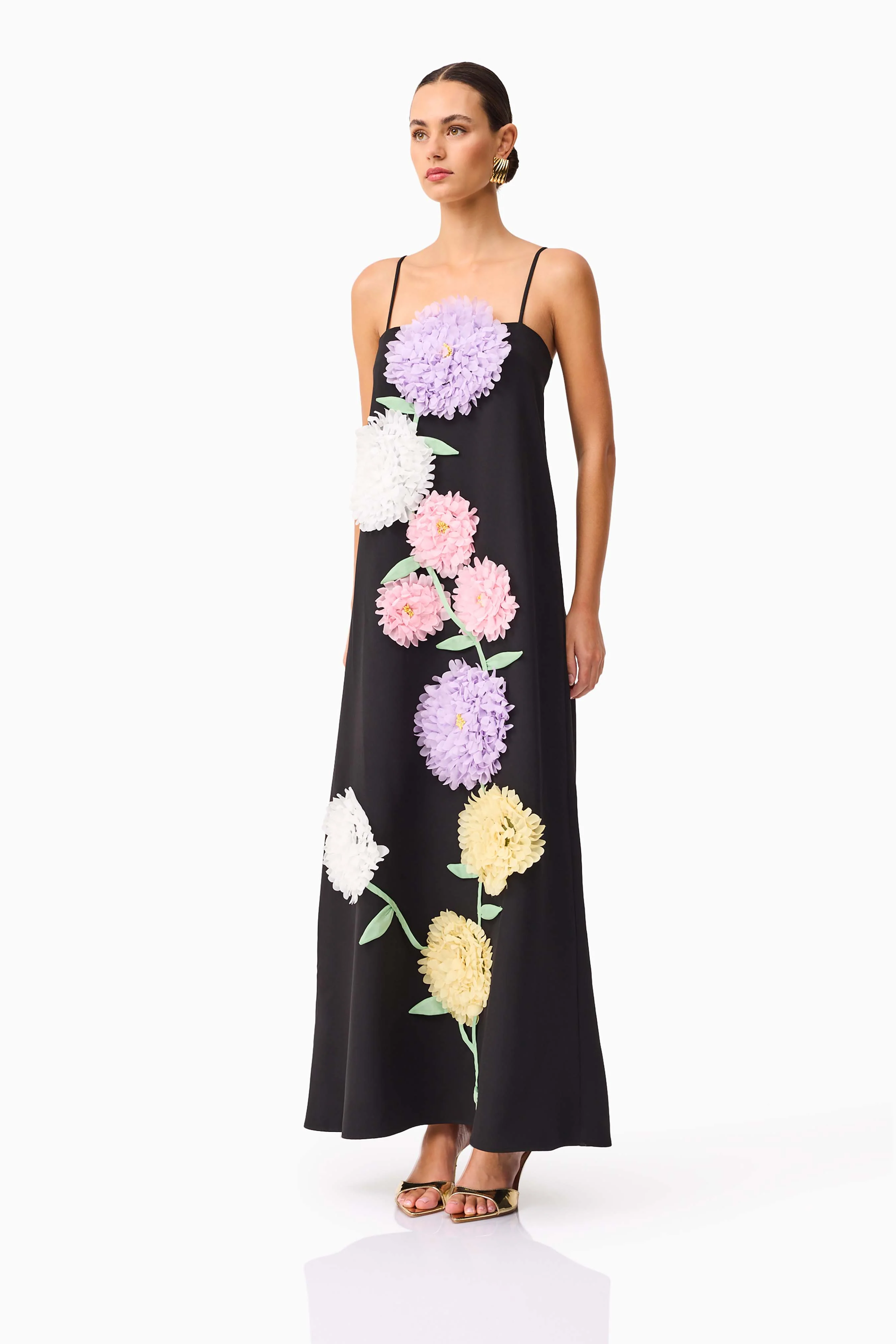Buttercup Embroidered Maxi Dress in Black