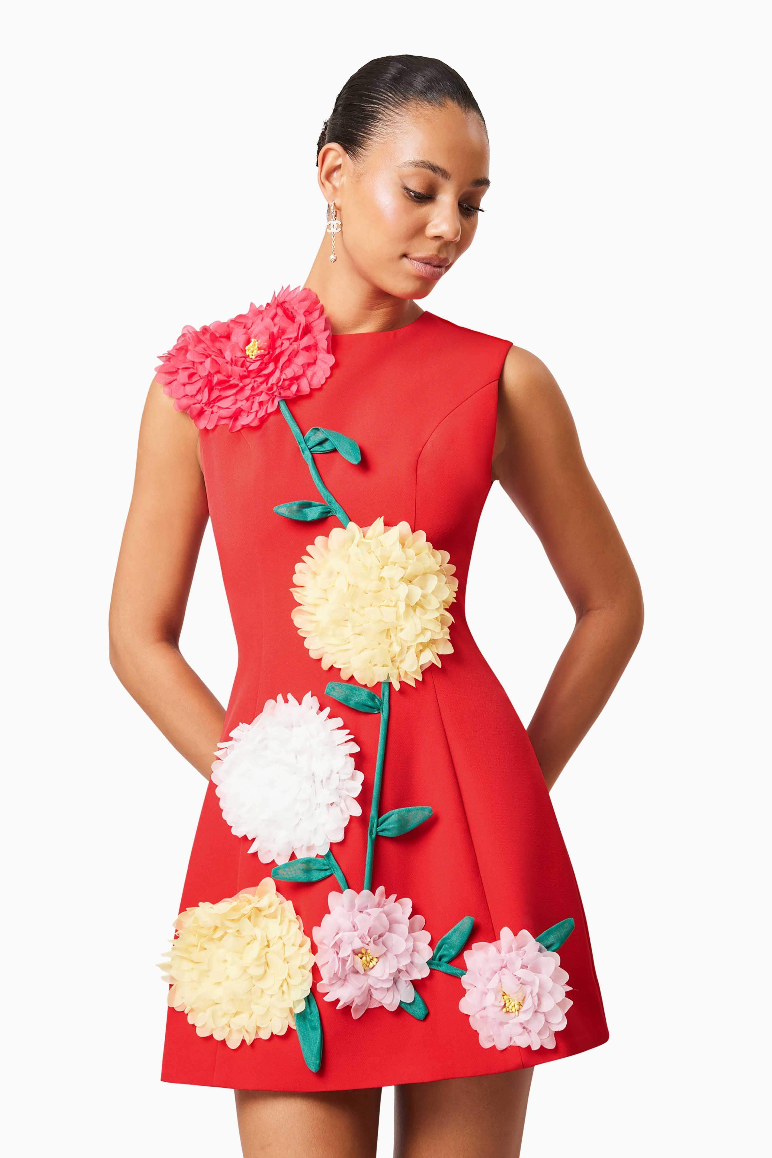 Buttercup Embroidered Mini Dress in Red