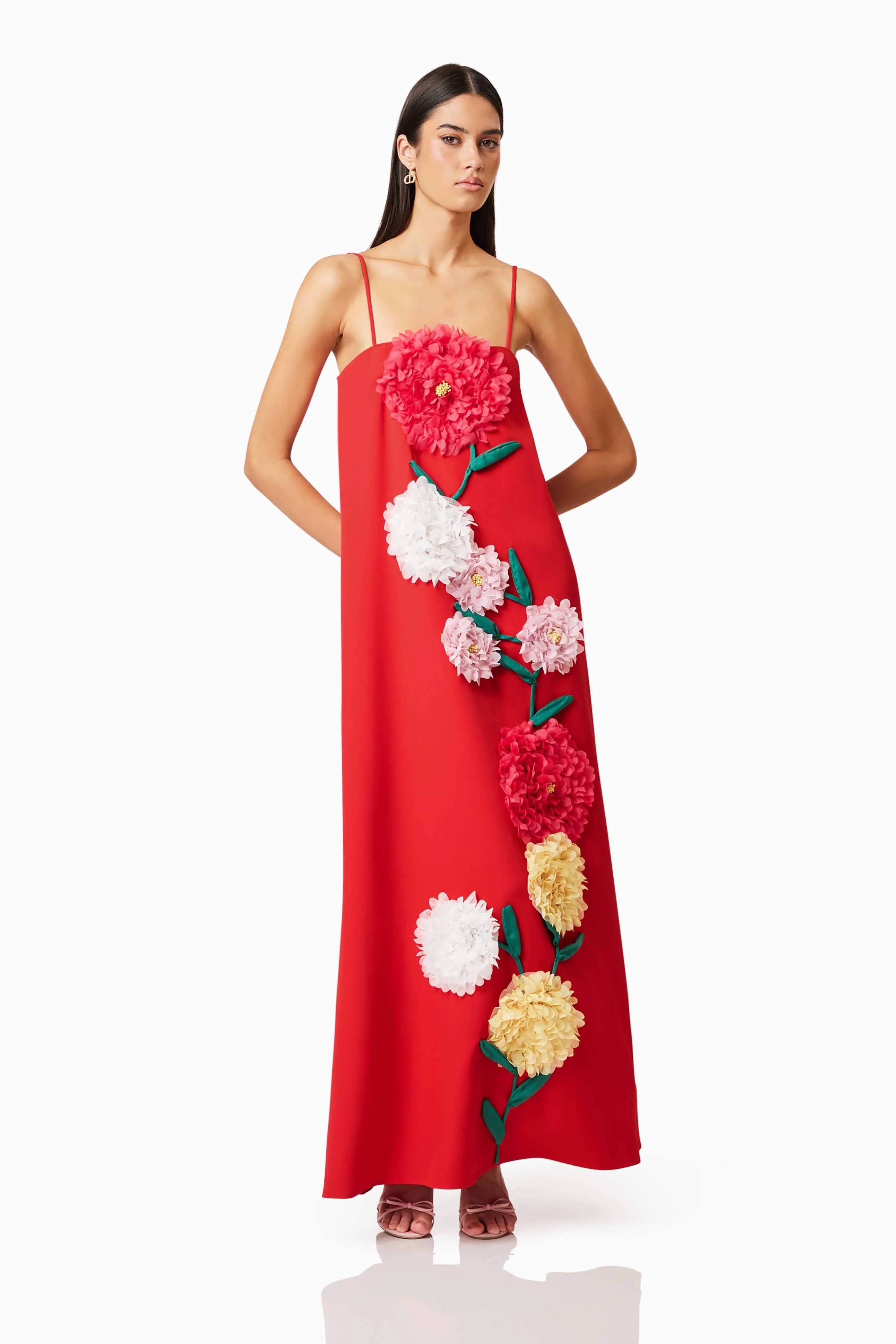 Buttercup Embroidered Maxi Dress In Red