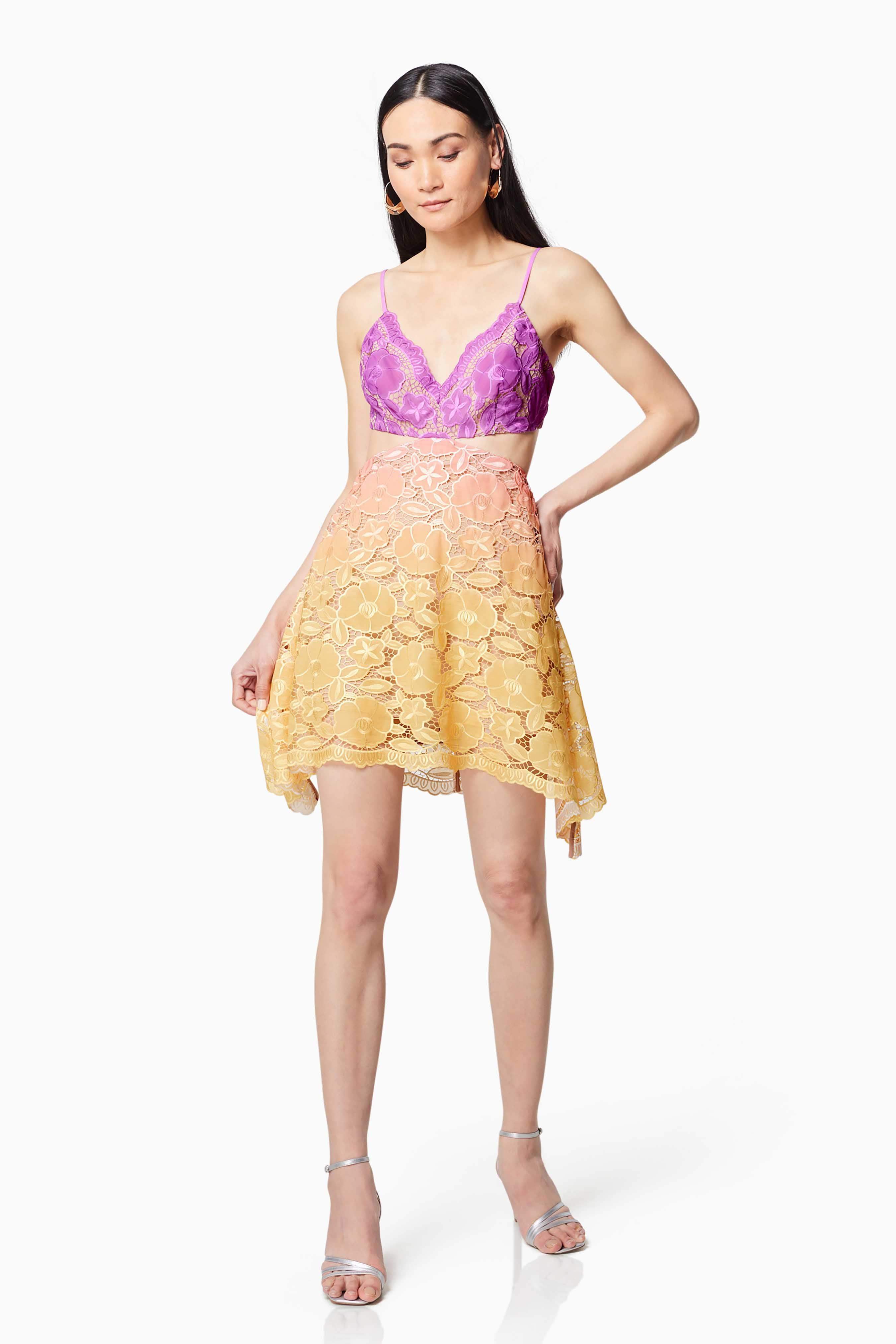 Vice Ombre Lace Mini Dress In Purple