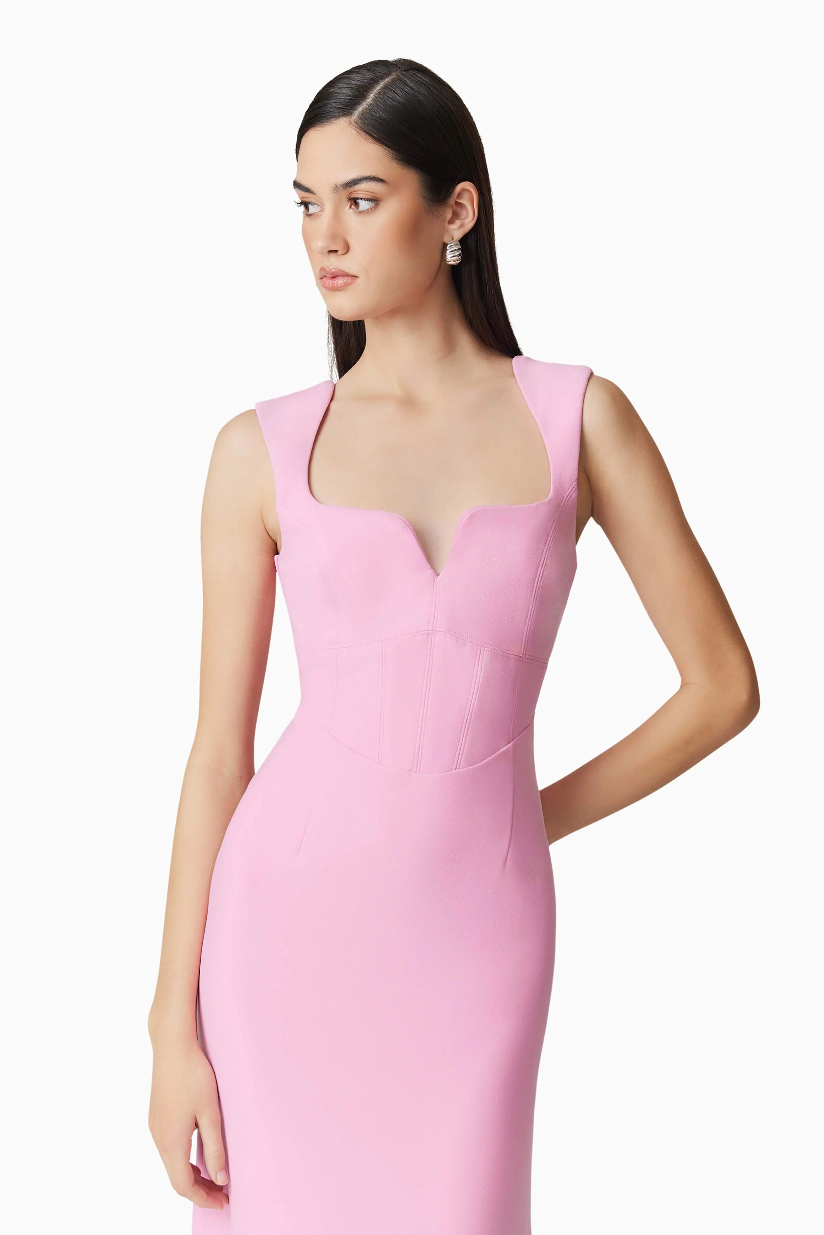 Gia Fitted Gown in Pink