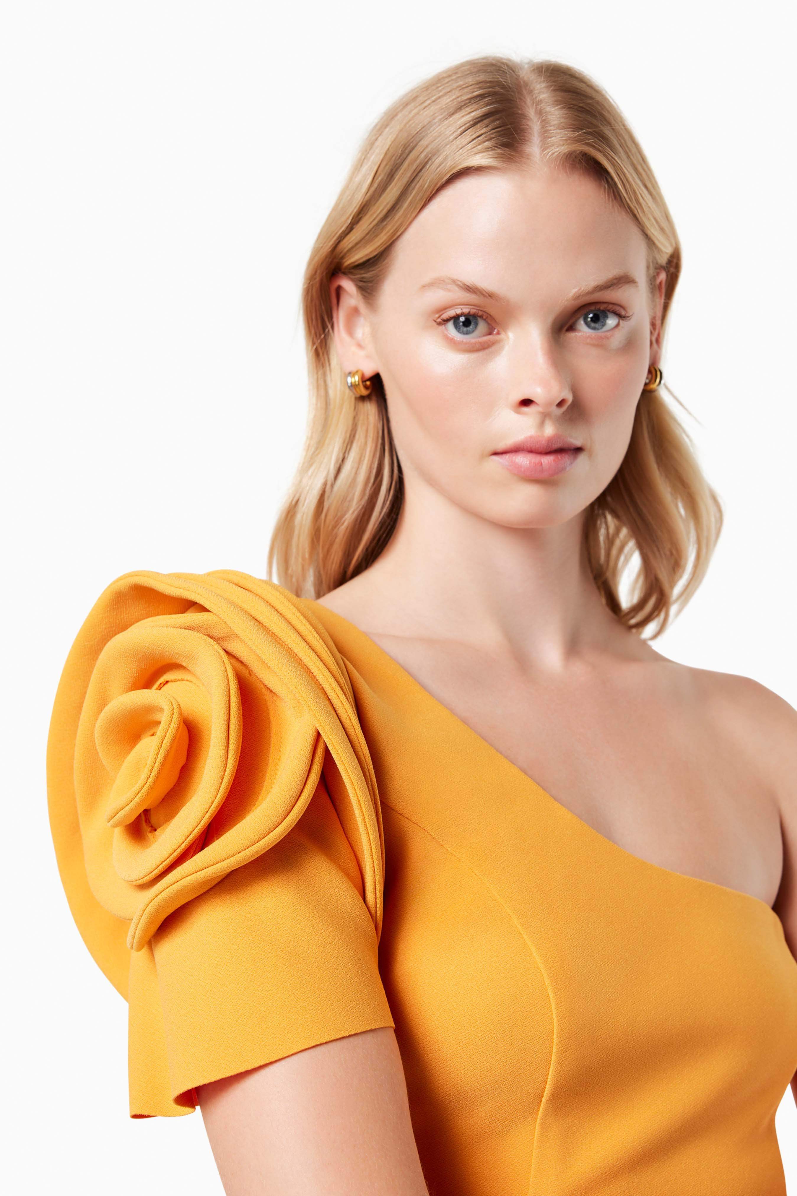 Electronica Rosetta Applique Maxi Dress In Orange