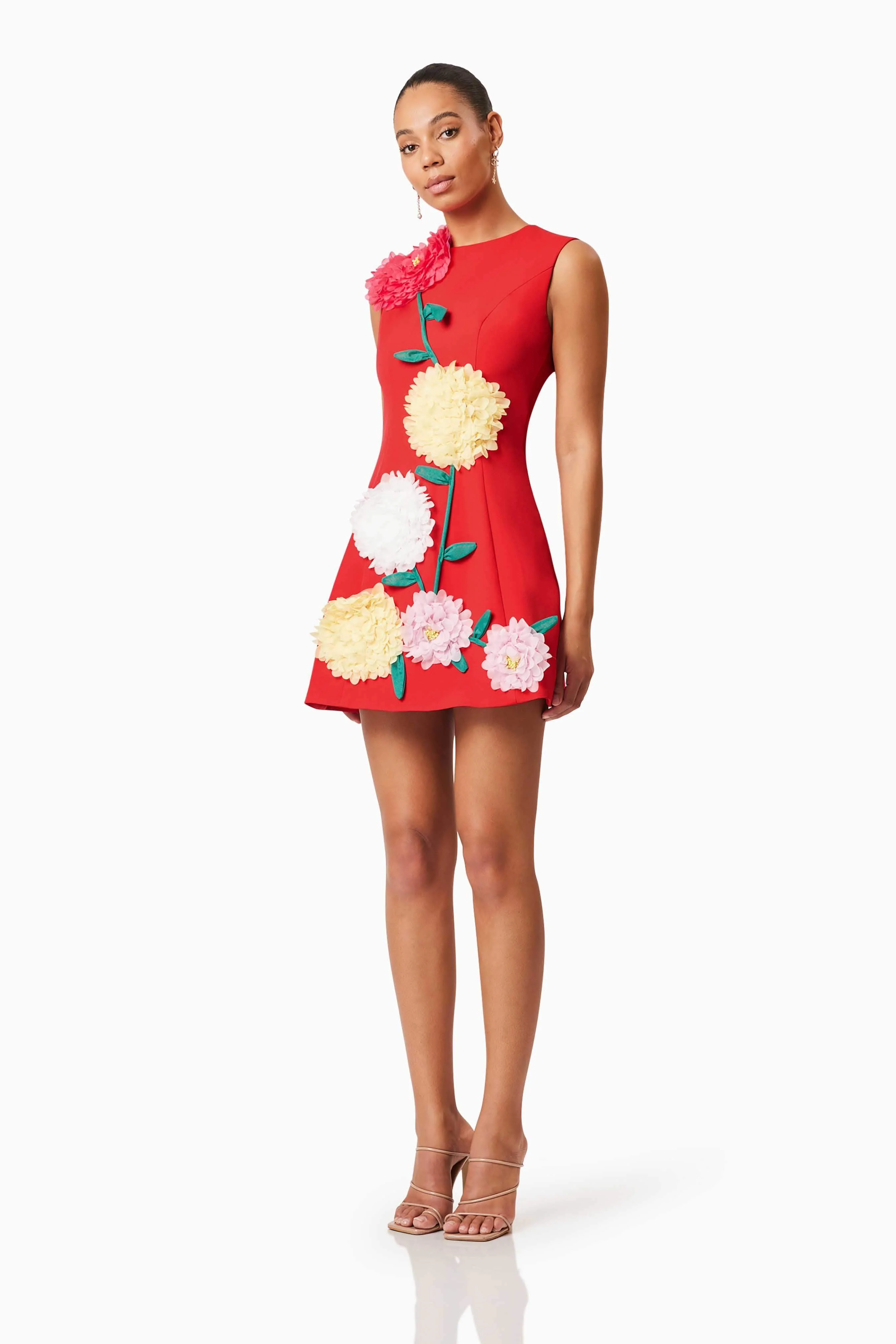 Buttercup Embroidered Mini Dress in Red