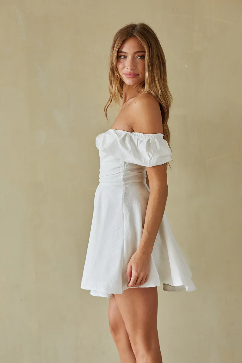 Ava Fit and Flare Mini Dress