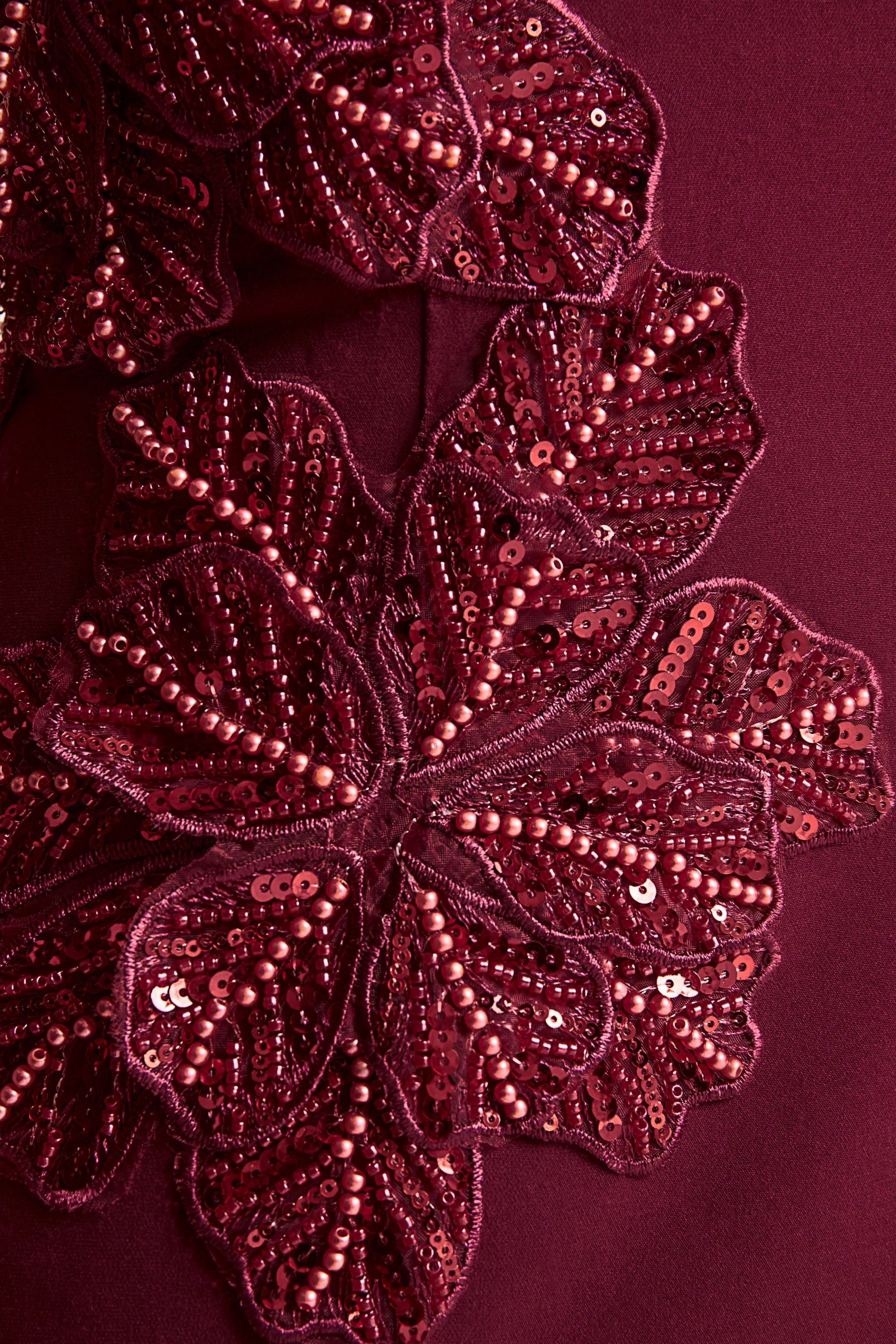 Aylana | Burgundy Bandeau Maxi Dress With Embellished Detail