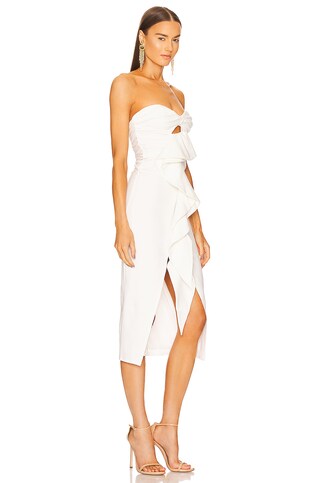 x REVOLVE Dorothea Dress