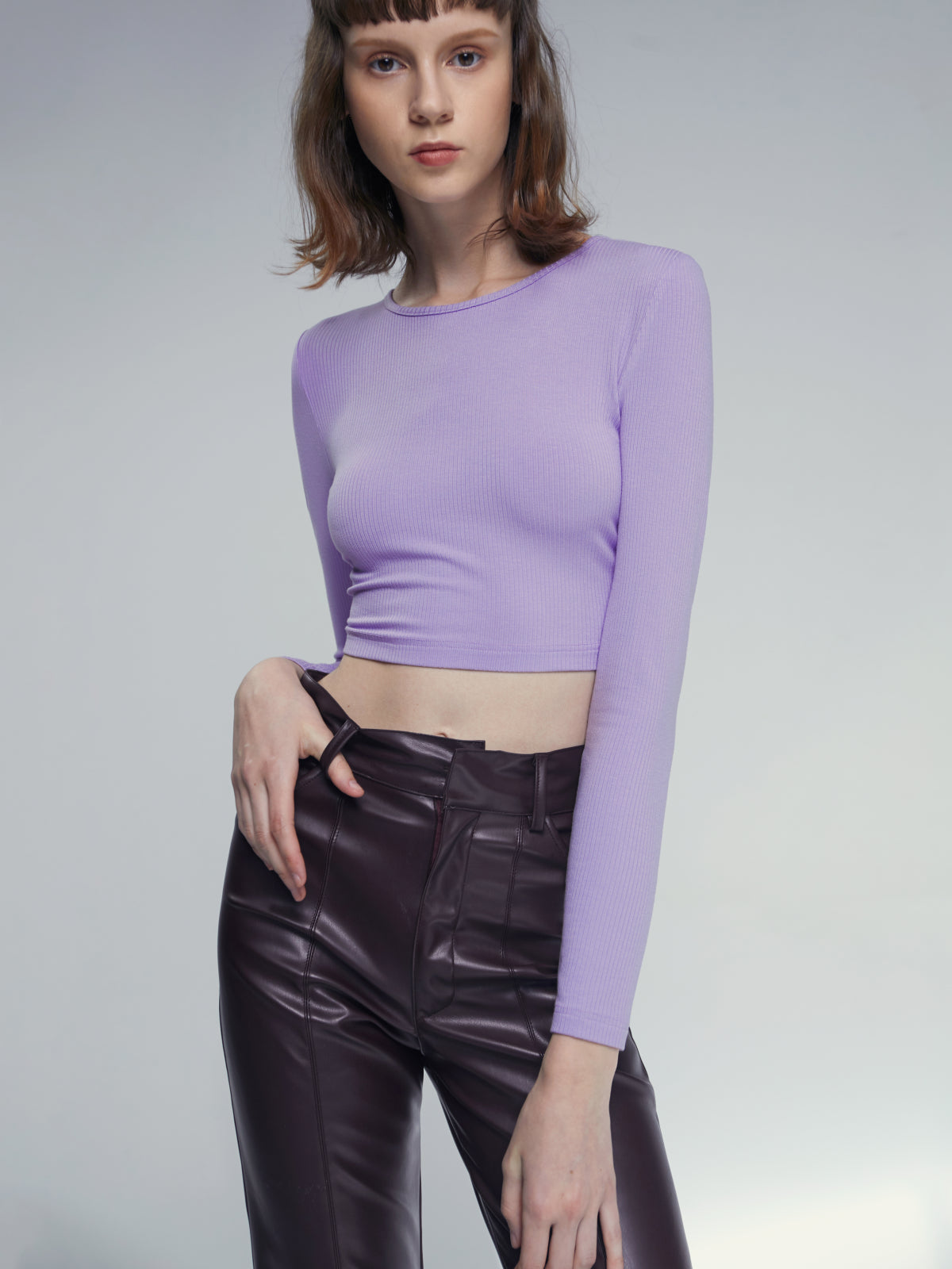 Thecomense - Mauve Crewneck Long Sleeve Stretch Cropped Top
