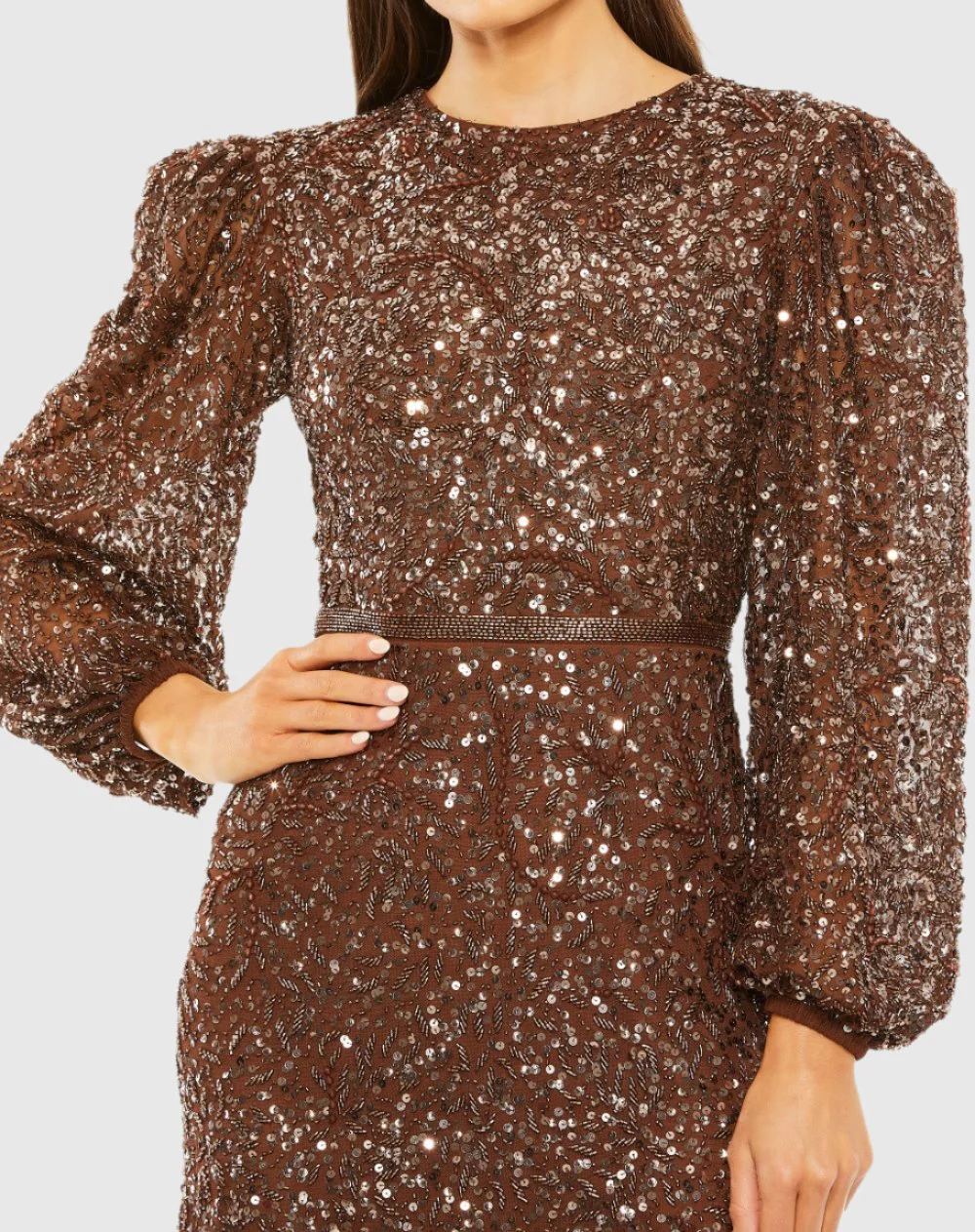 Brown Sheer Long Sleeve Beaded Gown