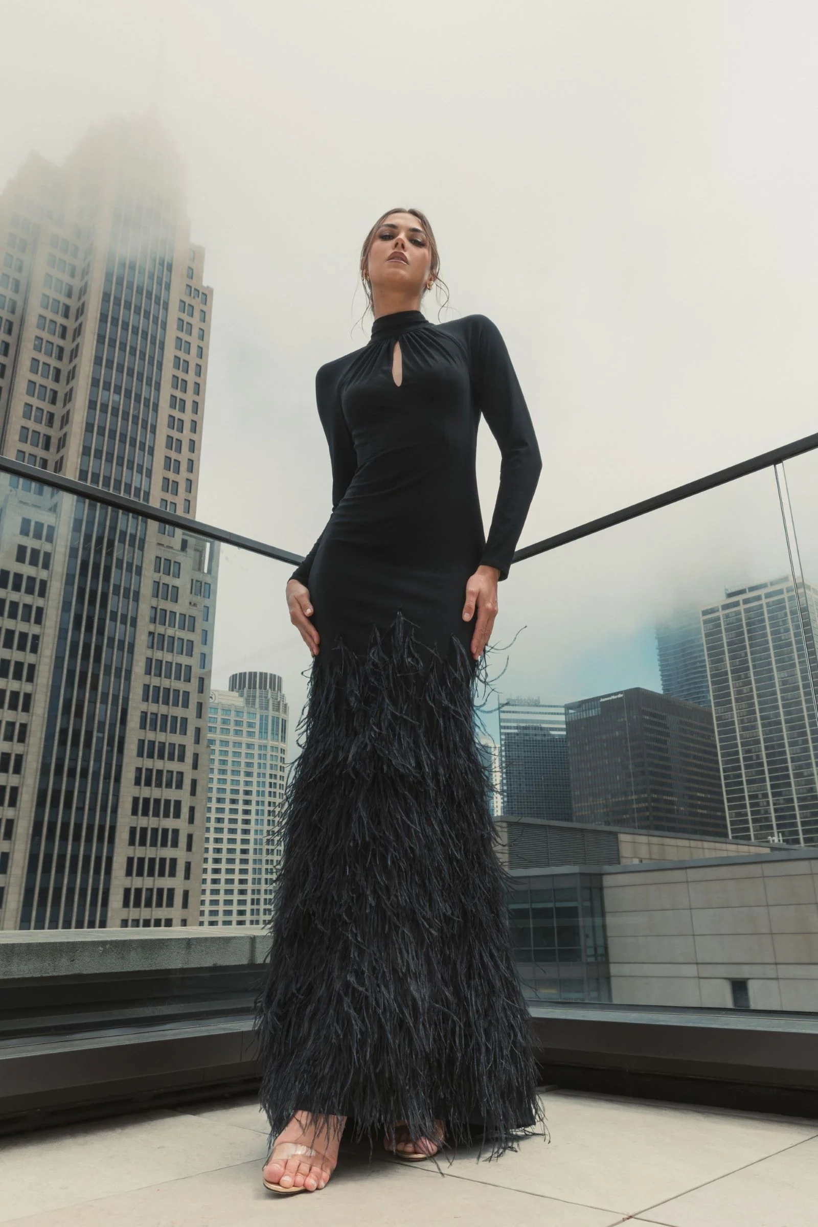 Black Jersey Long Sleeve High Neck Feather Gown