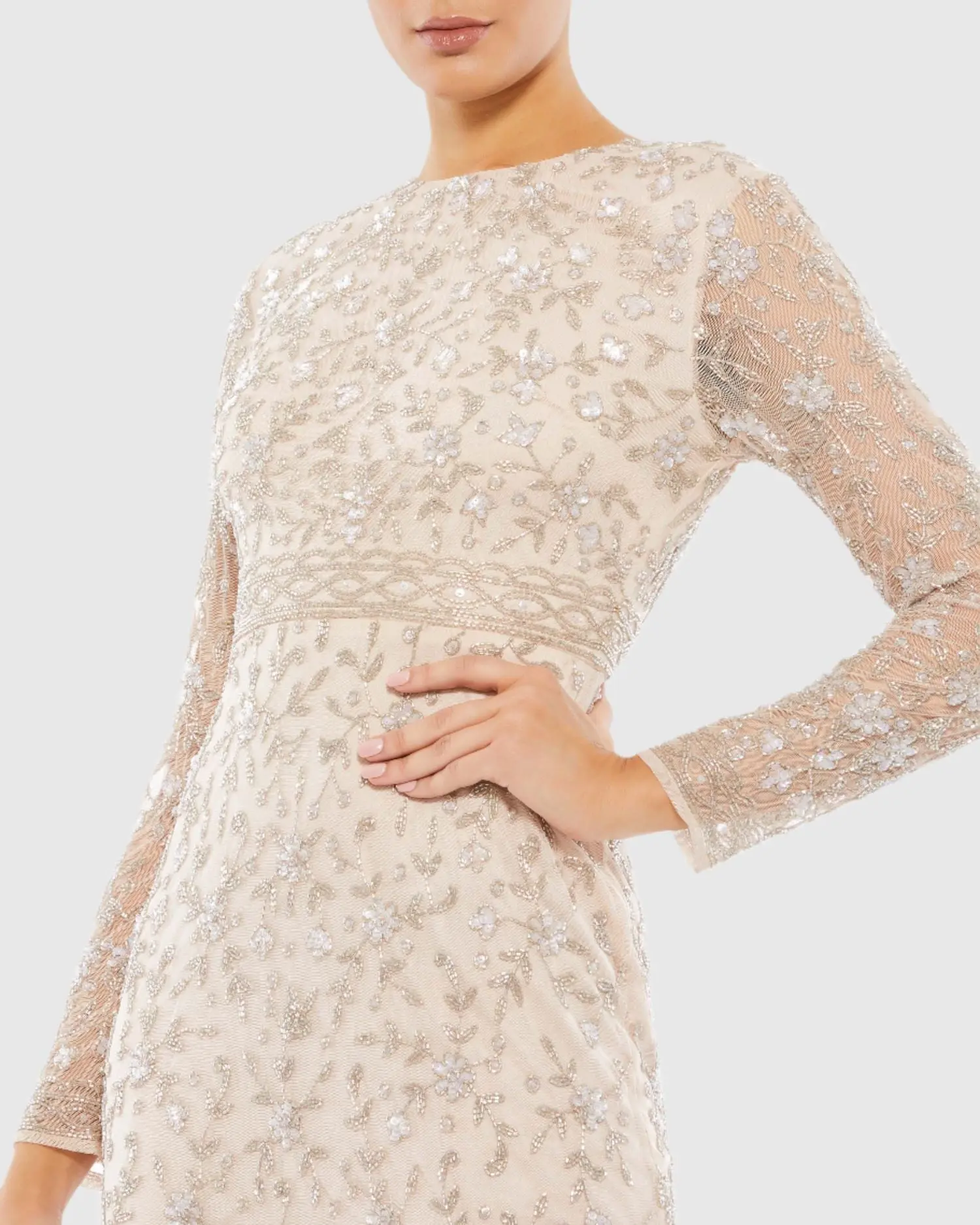 Beige Beaded Tea Length Dress w/ Sheer Sleeves