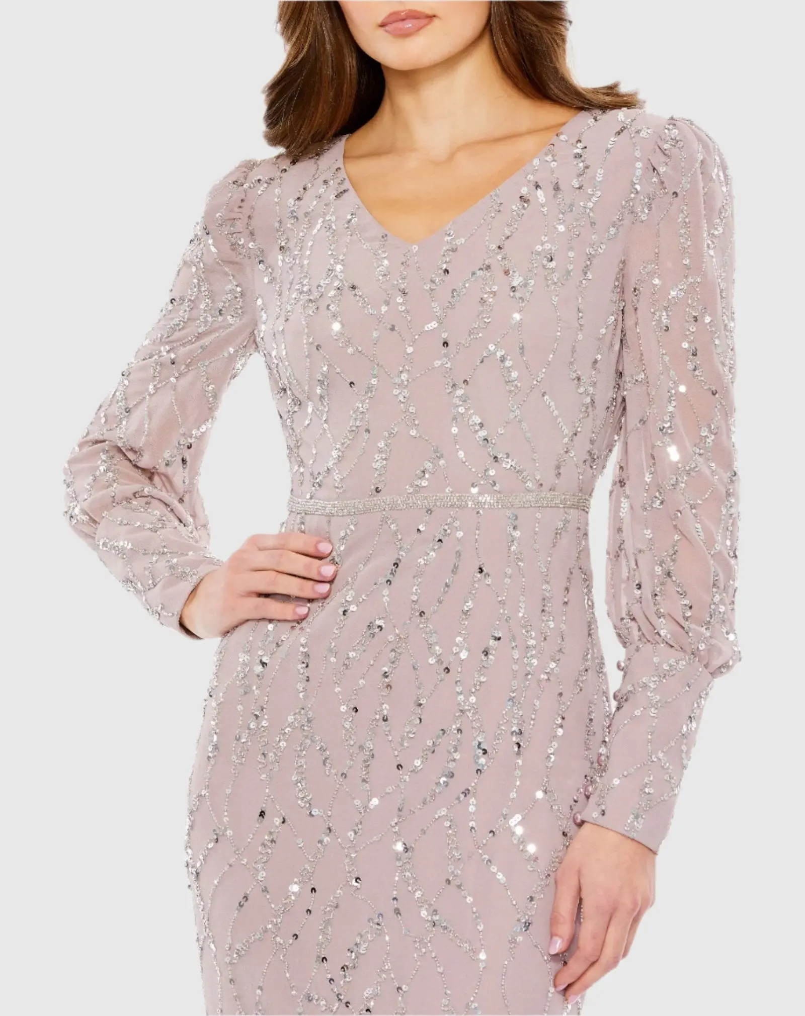 Sequined V Neck Illusion Long Sleeve Trumpet Dress