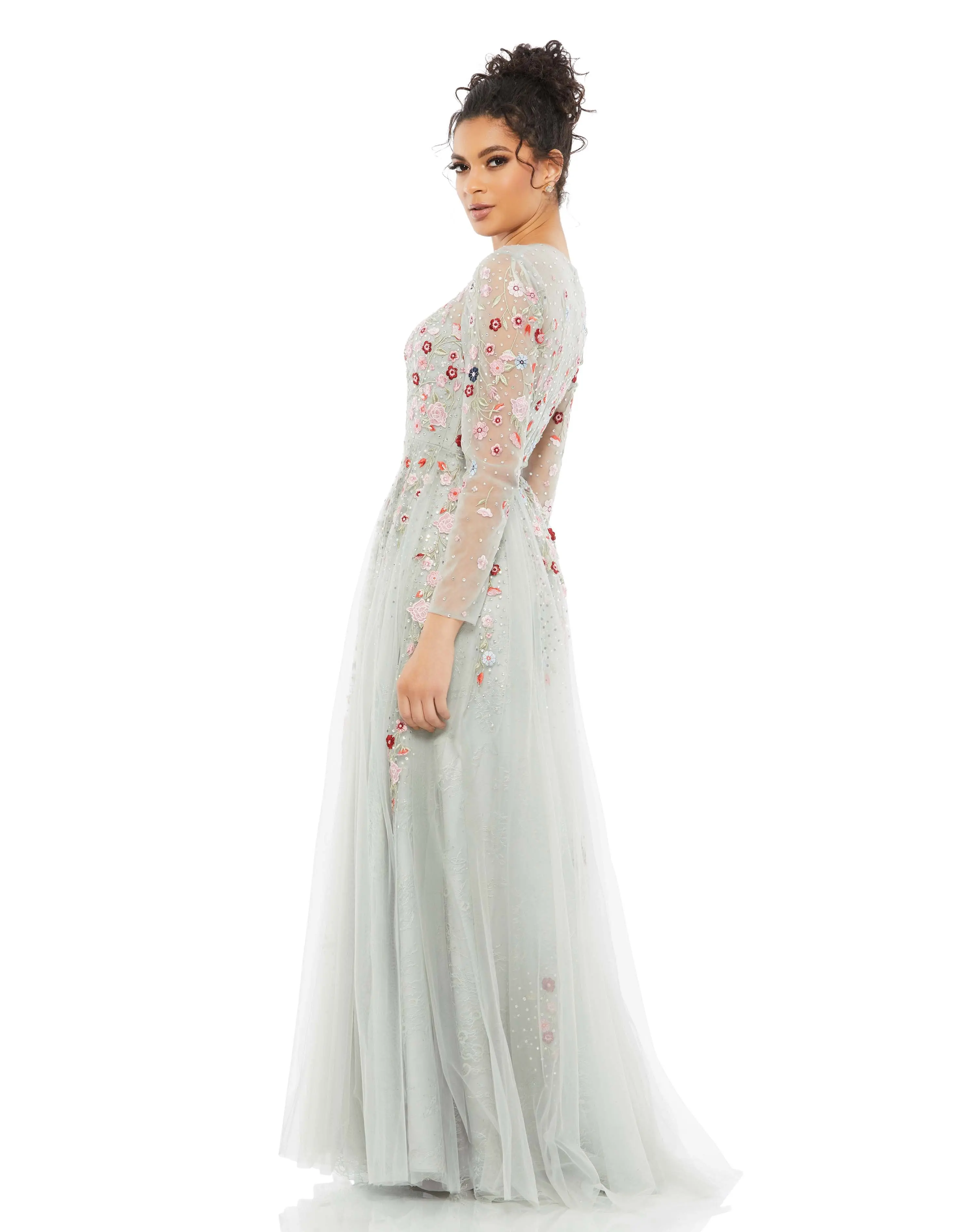 Embroidered Illusion High Neck Long Sleeve A Line Gown
